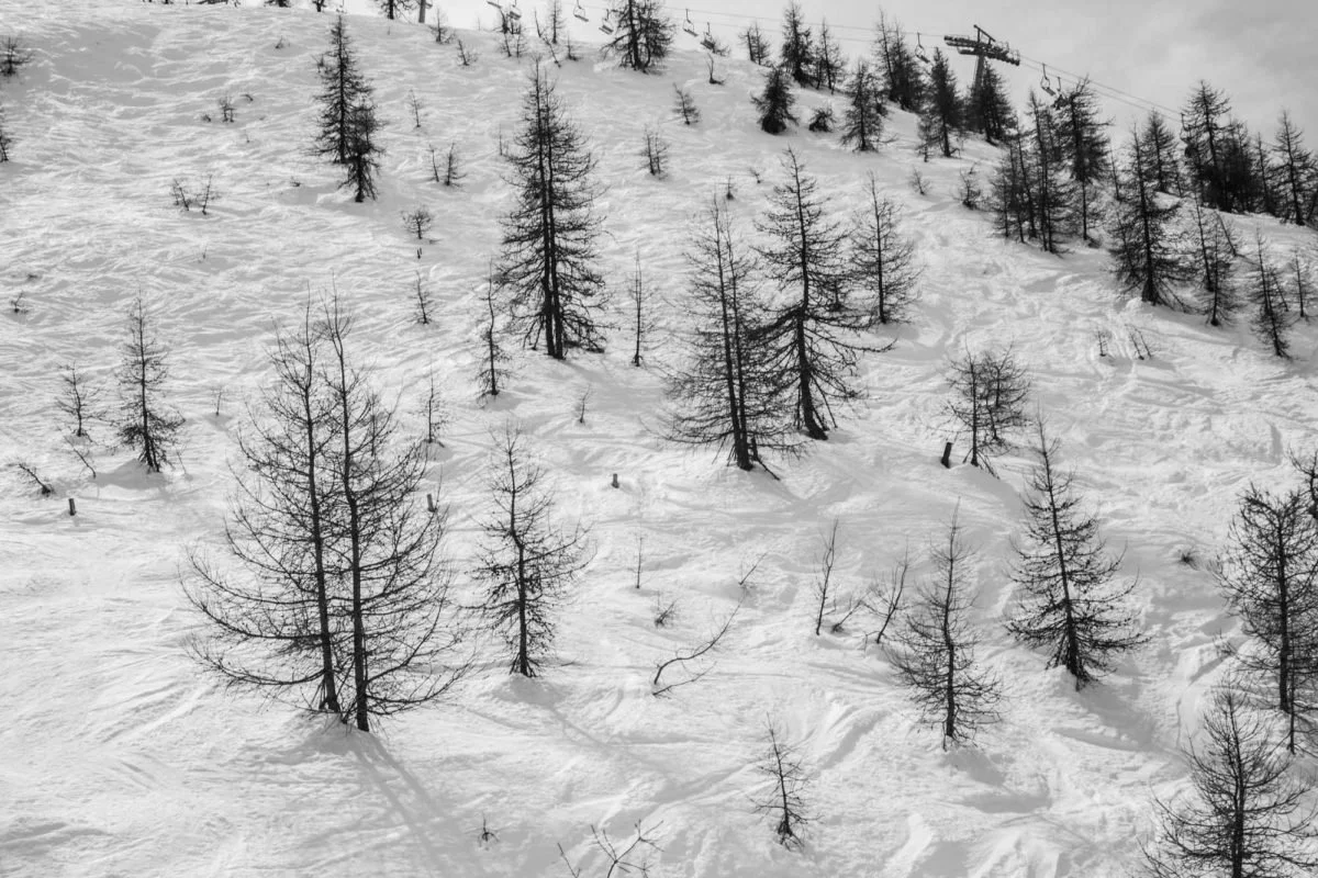 Paysage de montagne enneigée avec des arbres nus et une station de télésiège dans le haut de l'image.