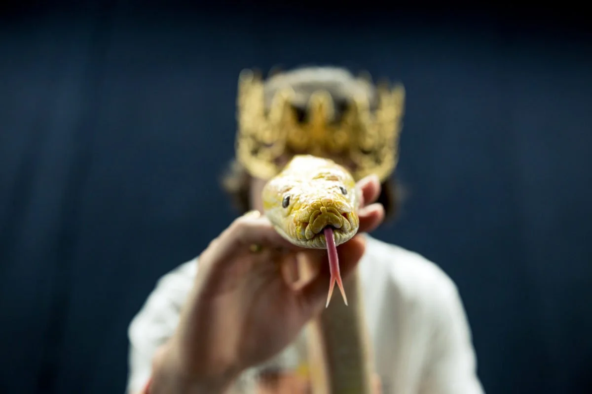 Lord esperanza portant une tête de serpent en ornementation et un masque, tenant un serpent jaune en direction de la caméra.