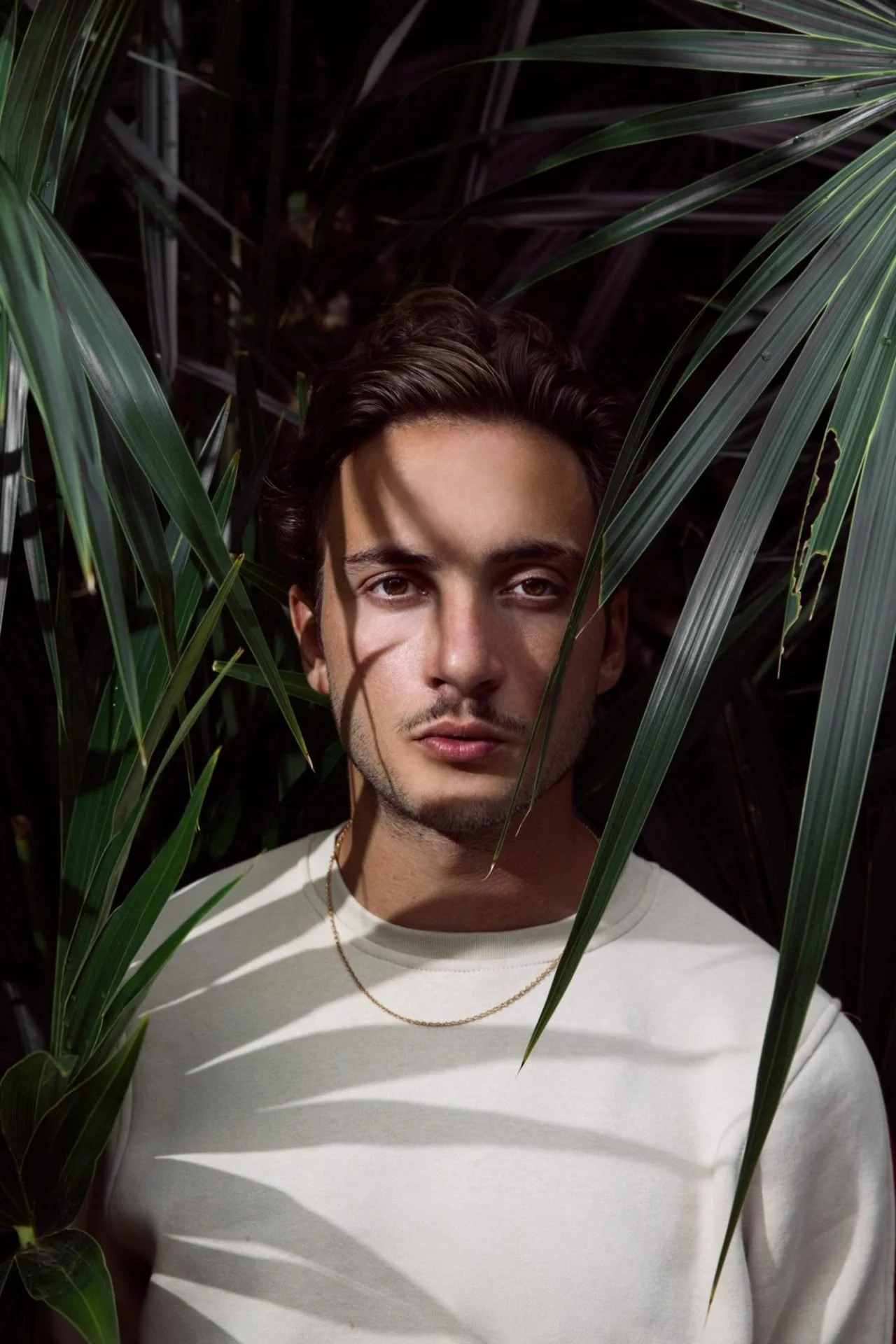 Jeune homme avec des cheveux bruns, portant un t-shirt blanc, entouré de grandes feuilles vertes, avec des ombres de feuilles sur le visage et le t-shirt.