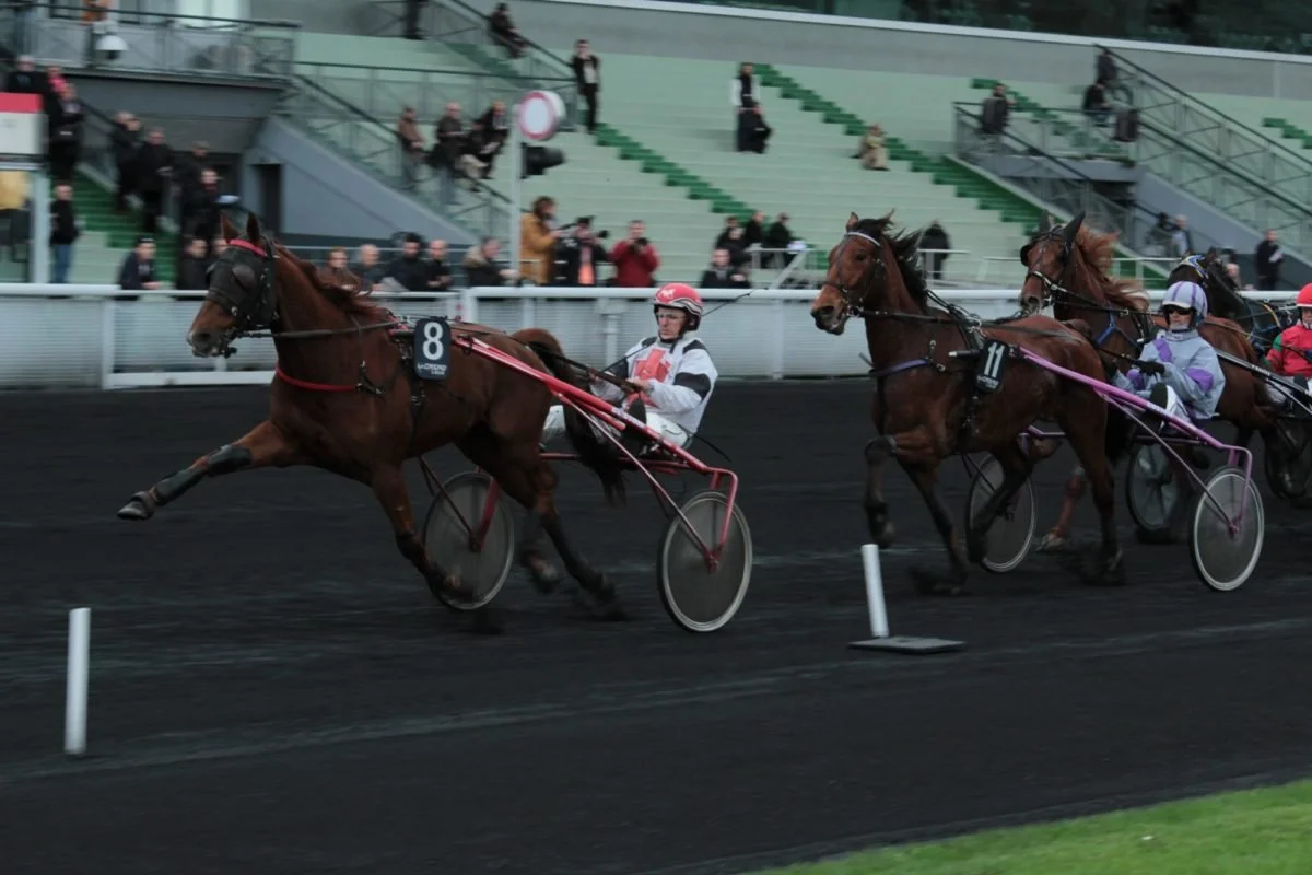 Course de trot avec plusieurs chevaux et conducteurs en harnais sur une piste.