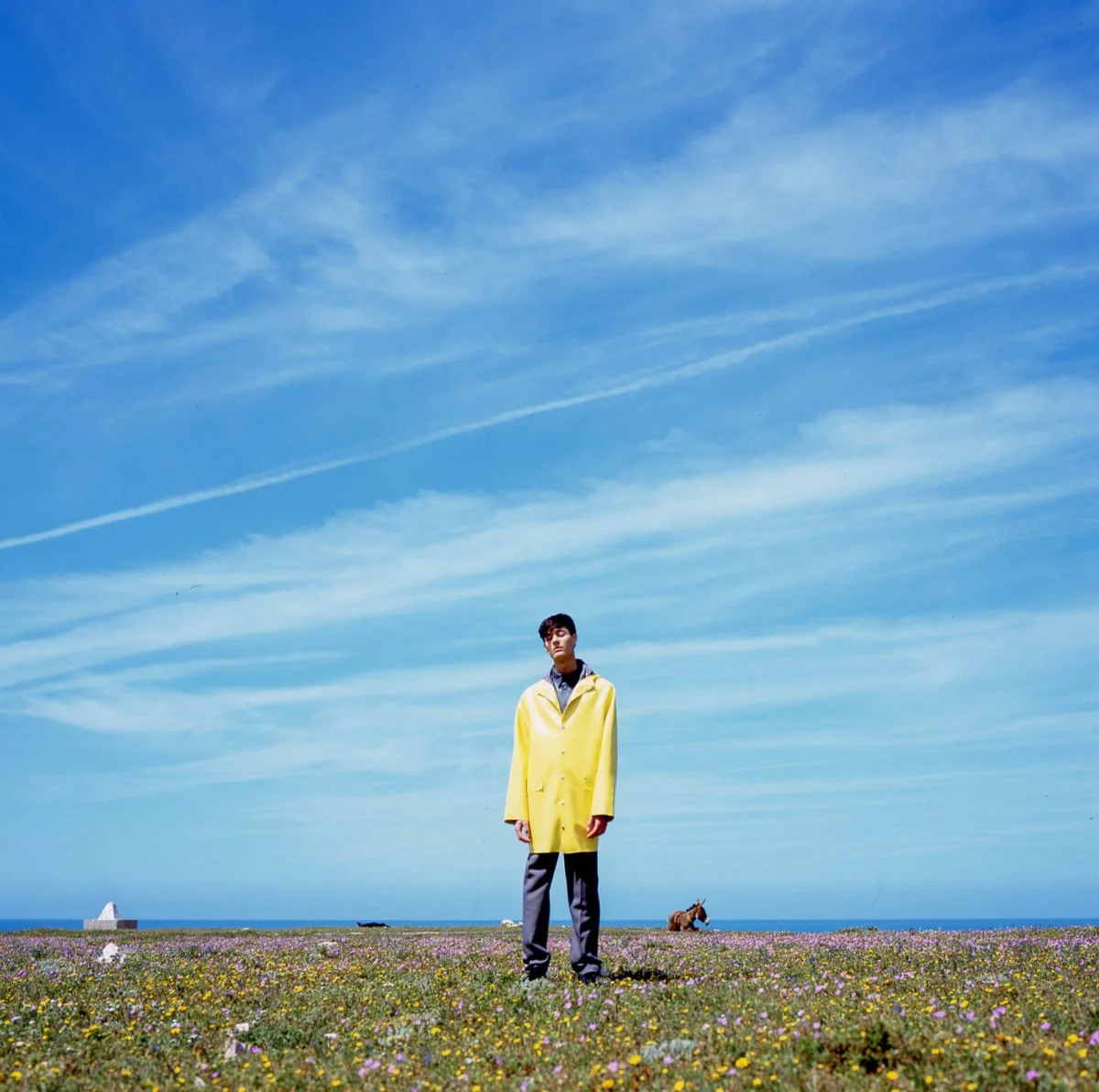 Jeune homme portant un imperméable jaune dans un champ de fleurs avec un ciel bleu et quelques nuages, quelques animaux au loin. Arthur Avellano
