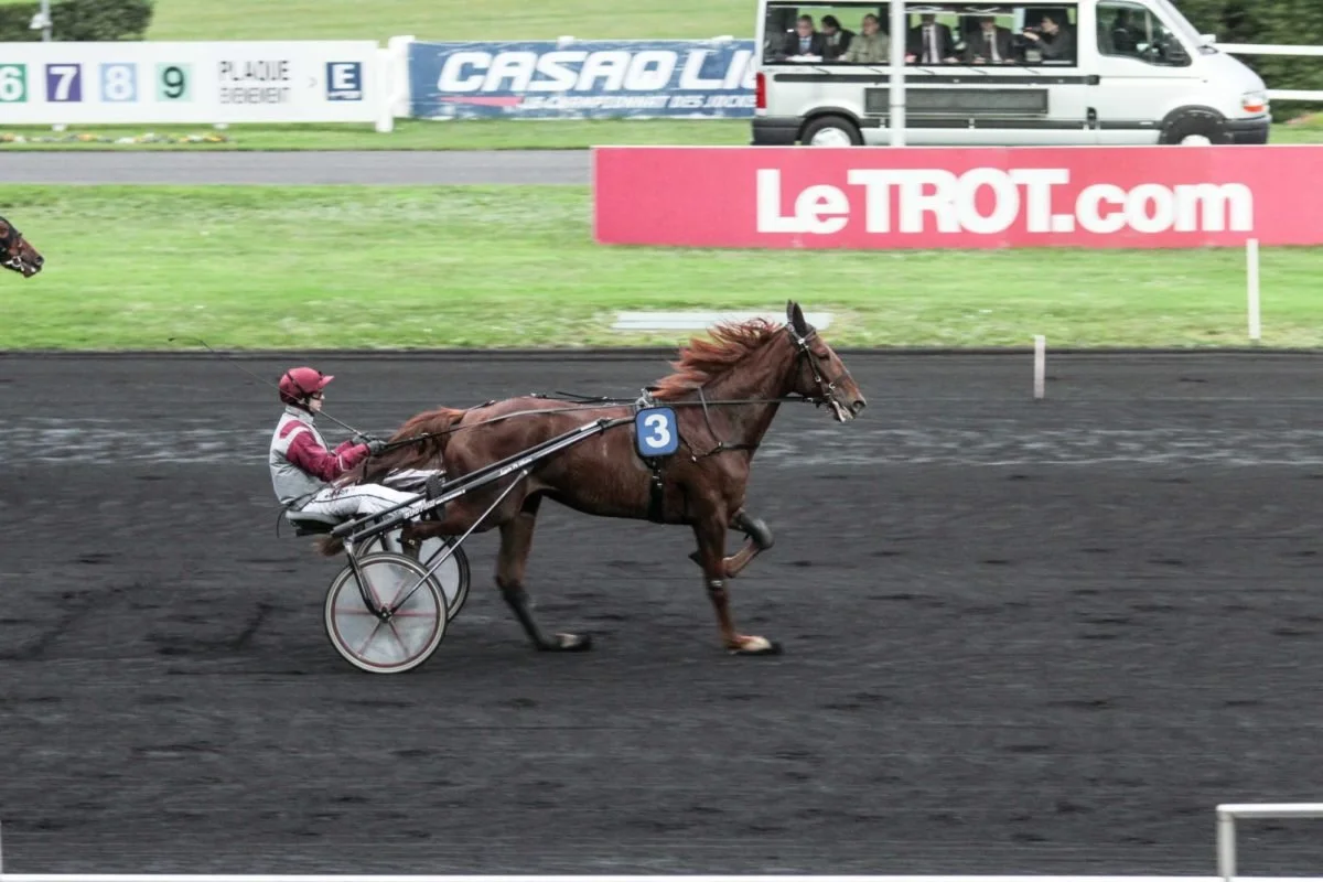 Un cheval de course tirant un sulky avec un jockey en costume, sur une piste en terre.