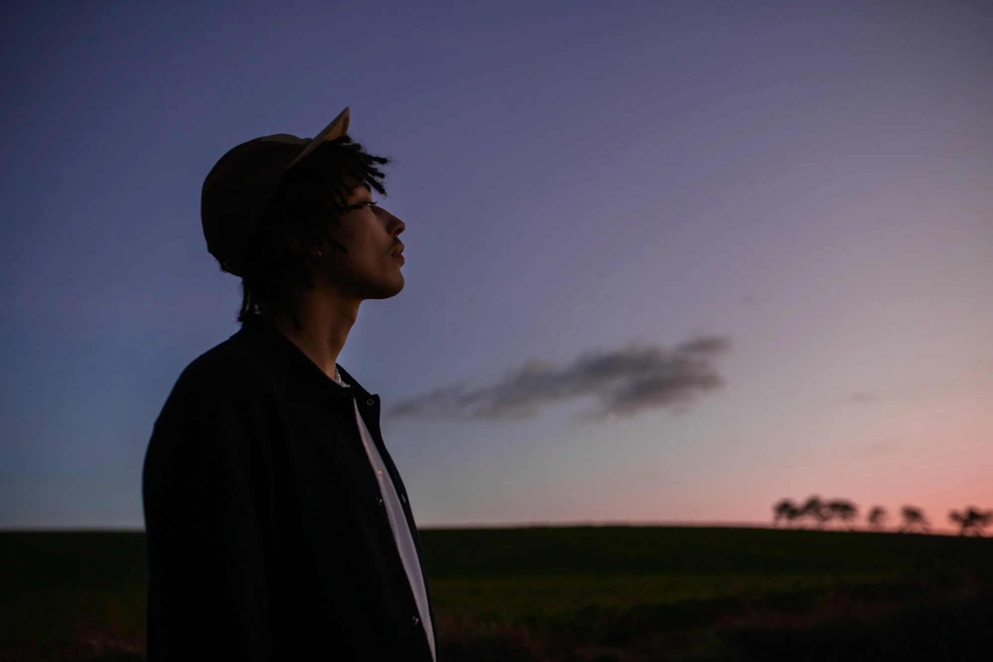Un homme regarde vers la gauche, en silhouette, avec un ciel crépusculaire en arrière-plan, dans un paysage rural avec quelques arbres à l'horizon.