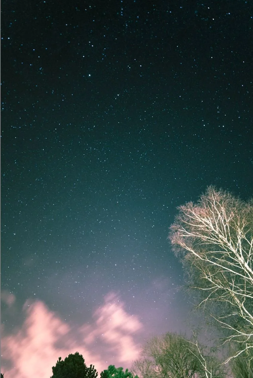 Ciel étoilé avec des constellations visibles, un arbre sans feuilles à droite, quelques nuages roses en bas et des arbres verts et sombres en premier plan.