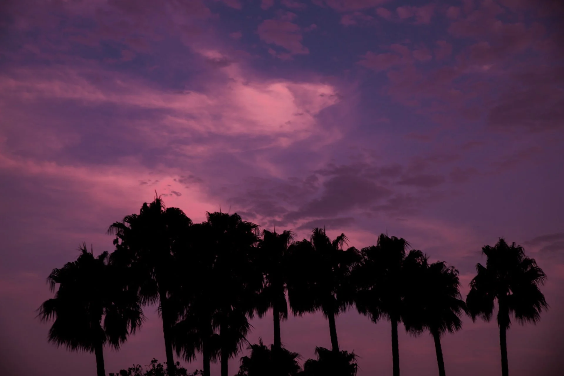 Ciel violet avec des nuages roses et une silhouette d'arbres en premier plan.