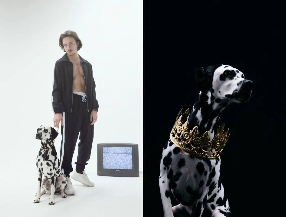Split image with a man and a Dalmatian on the left, standing in a white studio setting near a vintage TV displaying static; and a close-up of the Dalmatian on the right, wearing a gold ornate crown, against a black background.