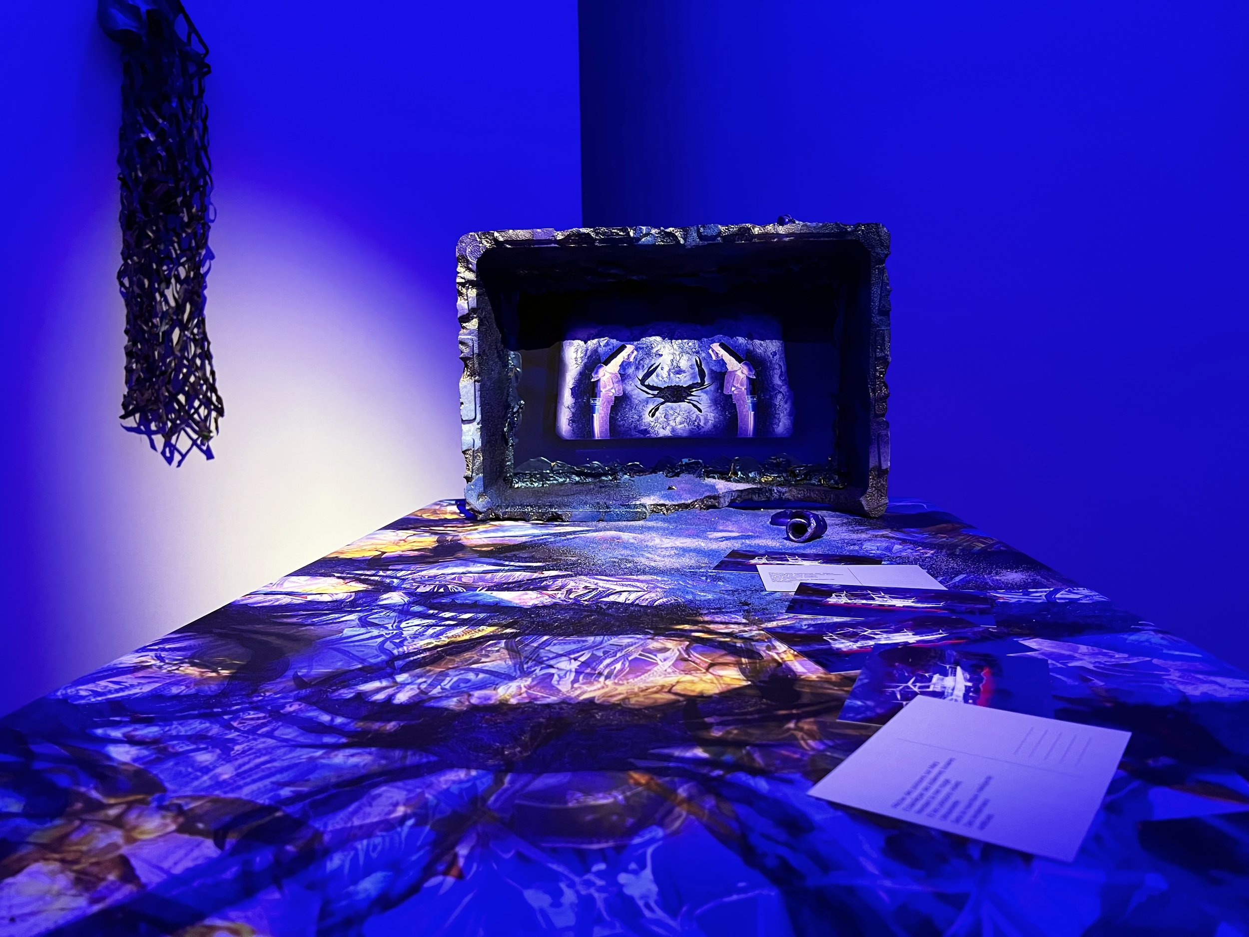 Détail d'une installation sur la pêche et les crabes bleus, entourée d'une lumière bleue dans une exposition au CRAC Occitanie en mars 2026.