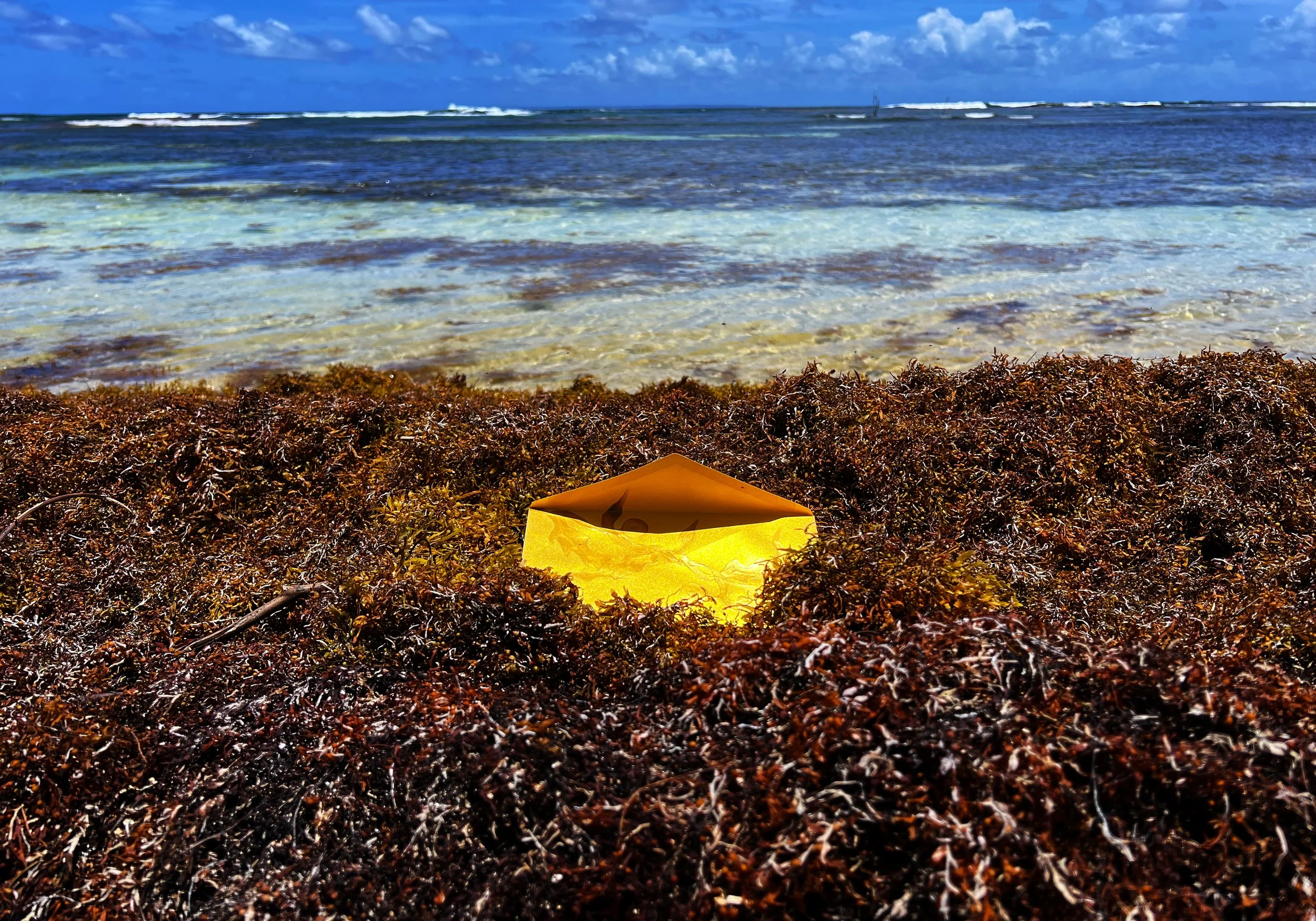 Plage avec des algues sargasses au premier plan, une enveloppe dorée dedans, la mer, le ciel bleu avec des nuages