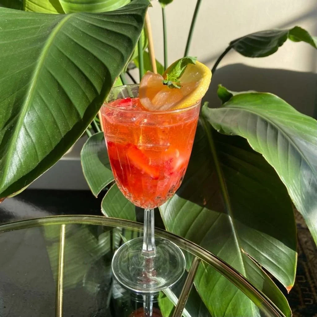 A Hotel Tango Vodka Basilade garnished with a lemon slice and a mint leaf, placed on a reflective surface among green tropical leaves.