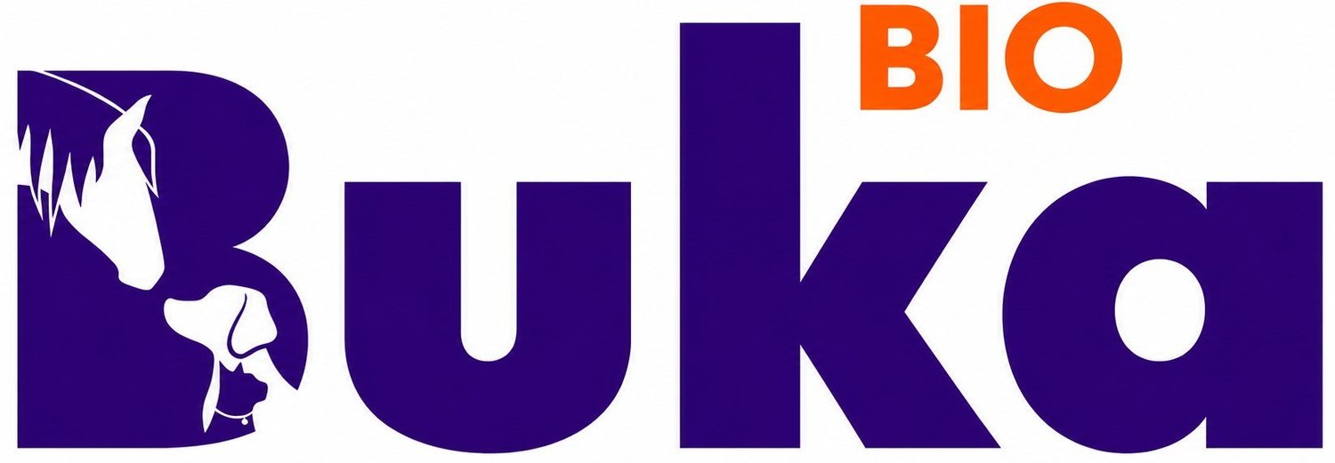 Your Site Title
