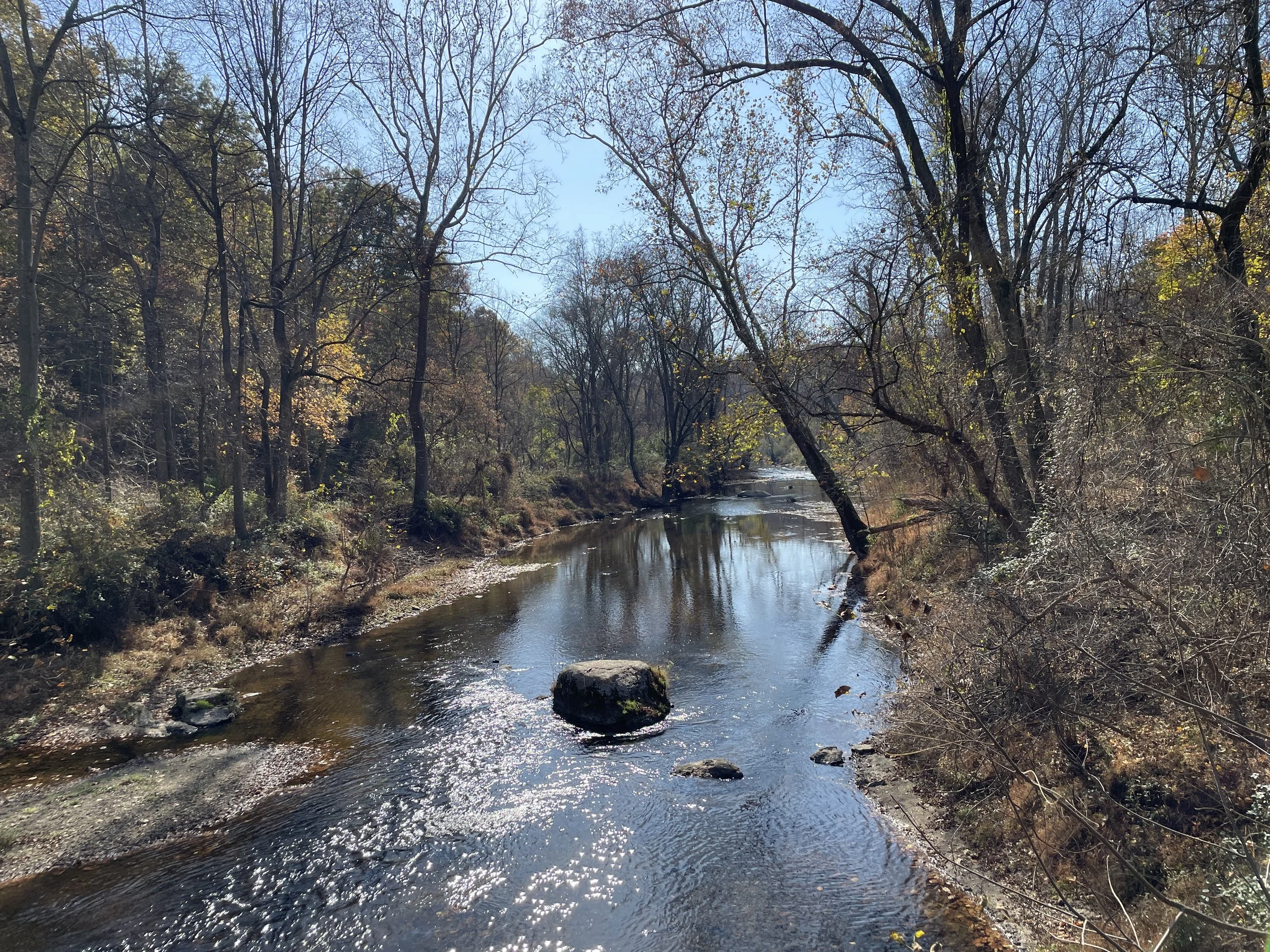 A serene river flowing through a forested area during fall, with trees on both sides and a clear blue sky overhead.