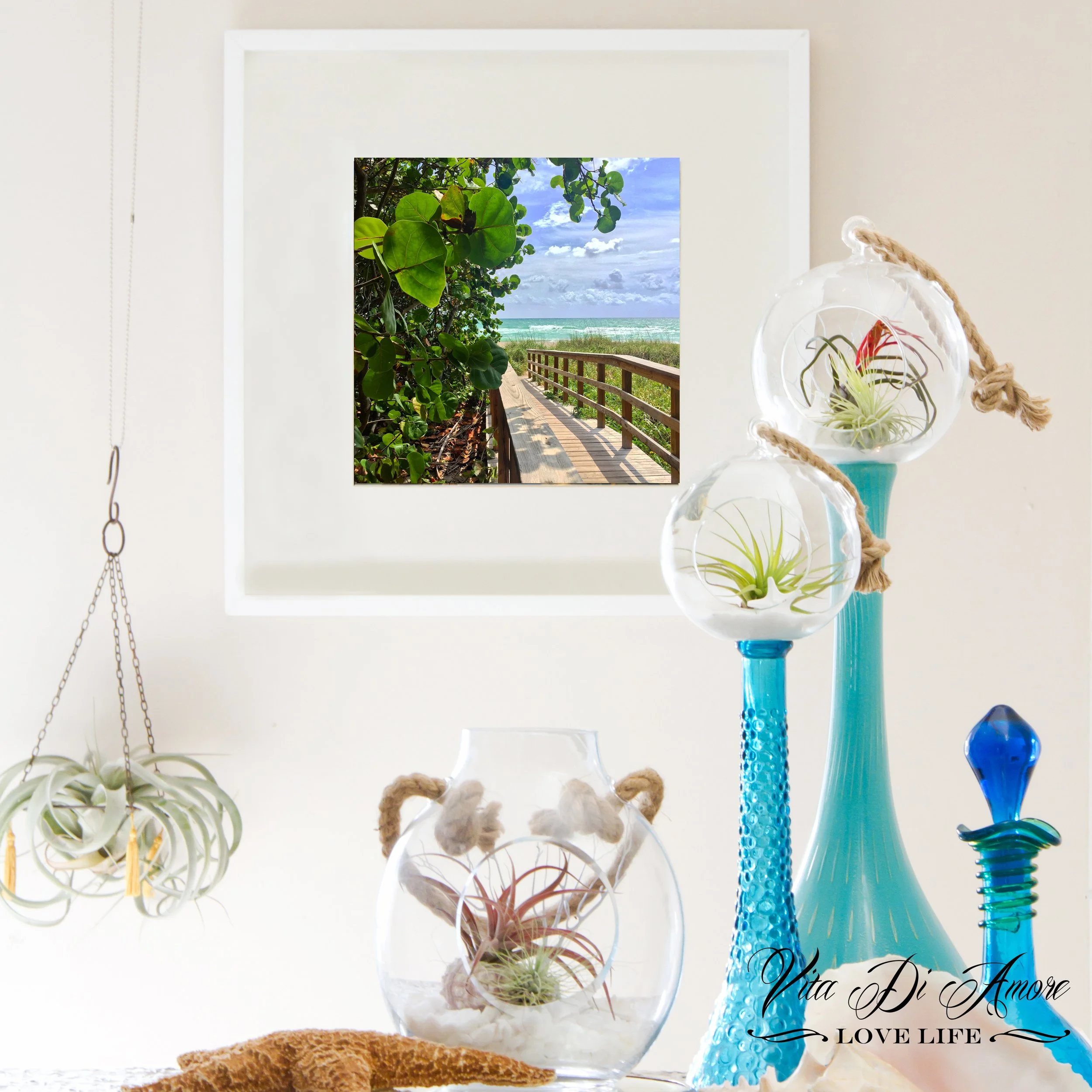 PATH TO PARADISE1.jpg