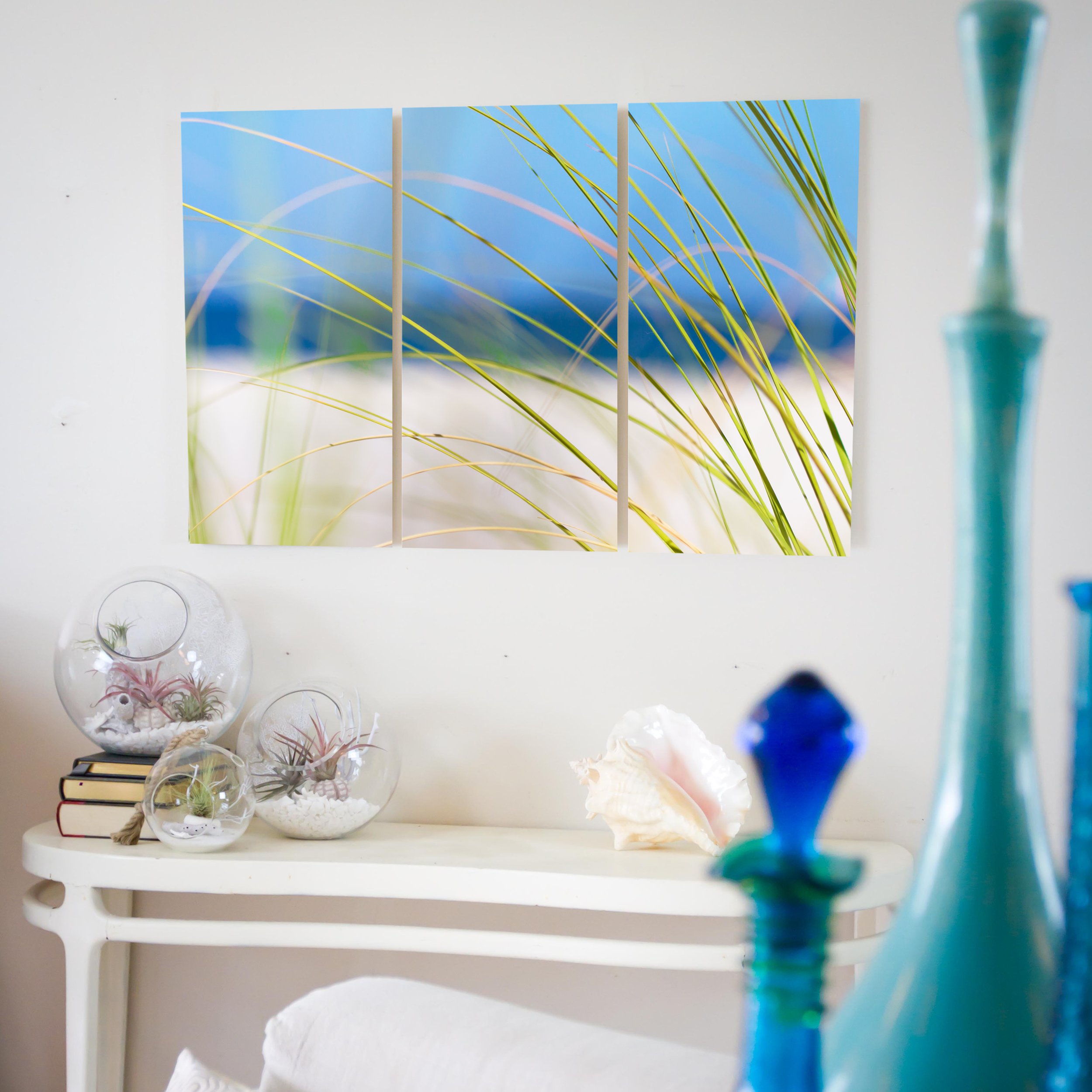 blue seagrass.jpg