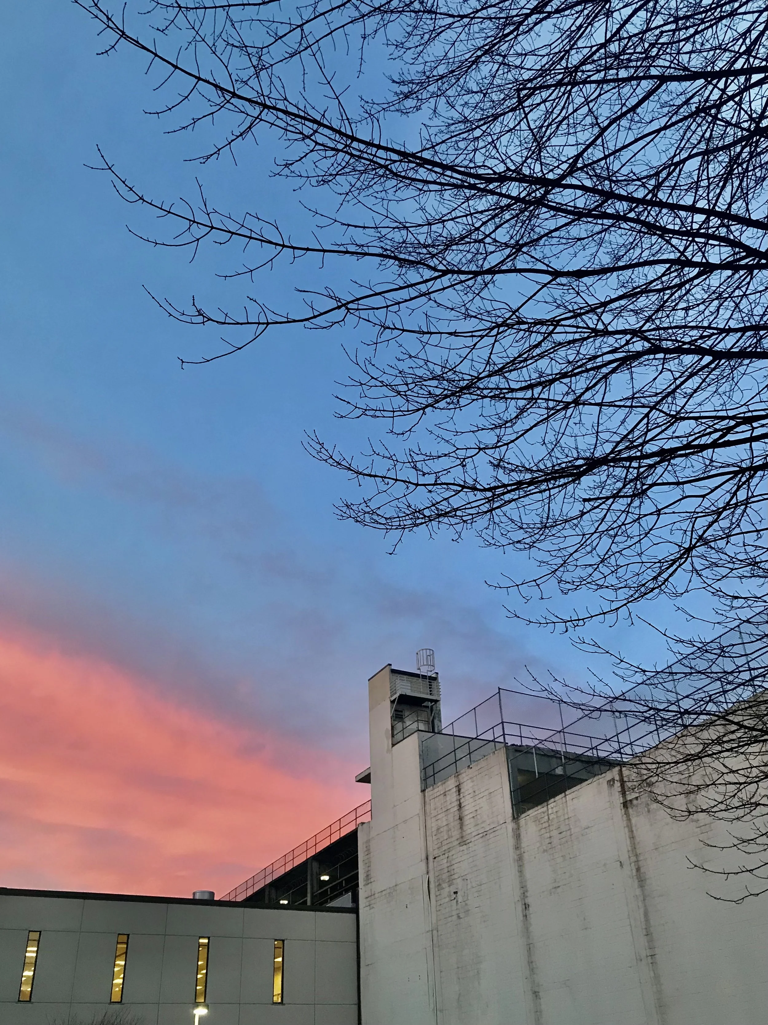 Sky with dark leafless tree branches and a building with lit windows against a colorful sunset or sunrise sky.