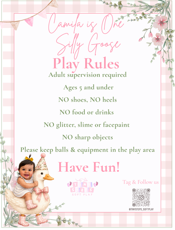 Sign with play rules for Camila's first birthday, decorated with pink flowers and green foliage, featuring a girl sitting on a duck toy and a pink birthday hat, and containing guidelines such as no shoes, no food, and keeping balls and equipment in the play area.