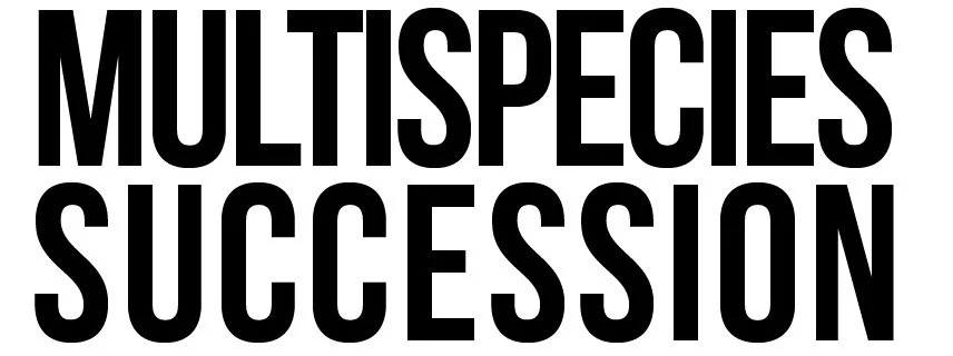 Multispecies Succession 