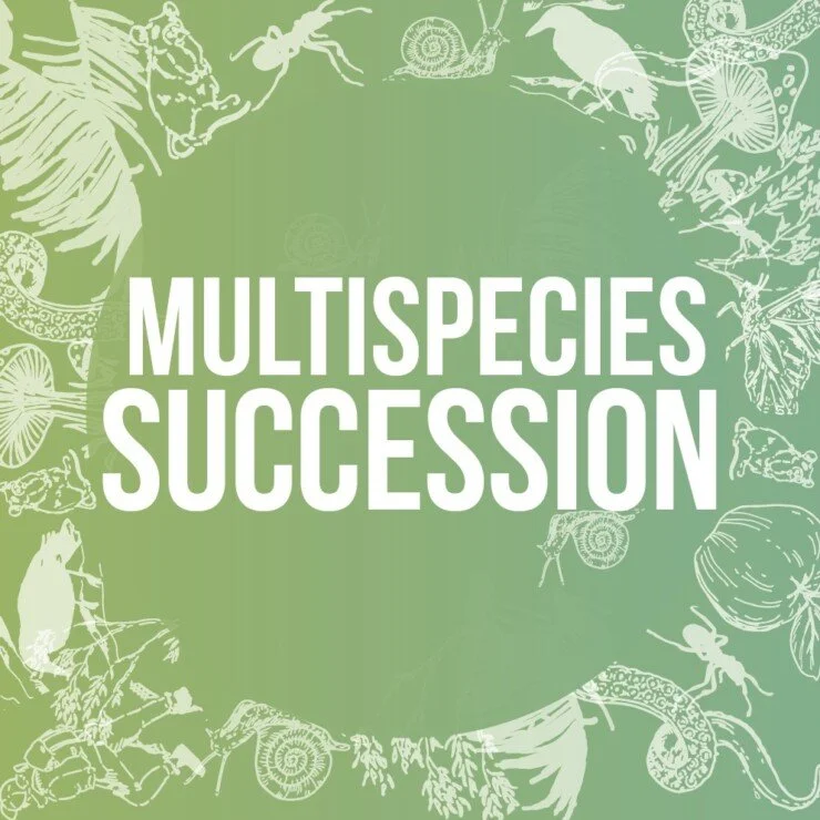 Green background with white illustrations of various animals and insects forming a circular border around the words 'Multispecies Succession' in large white text.