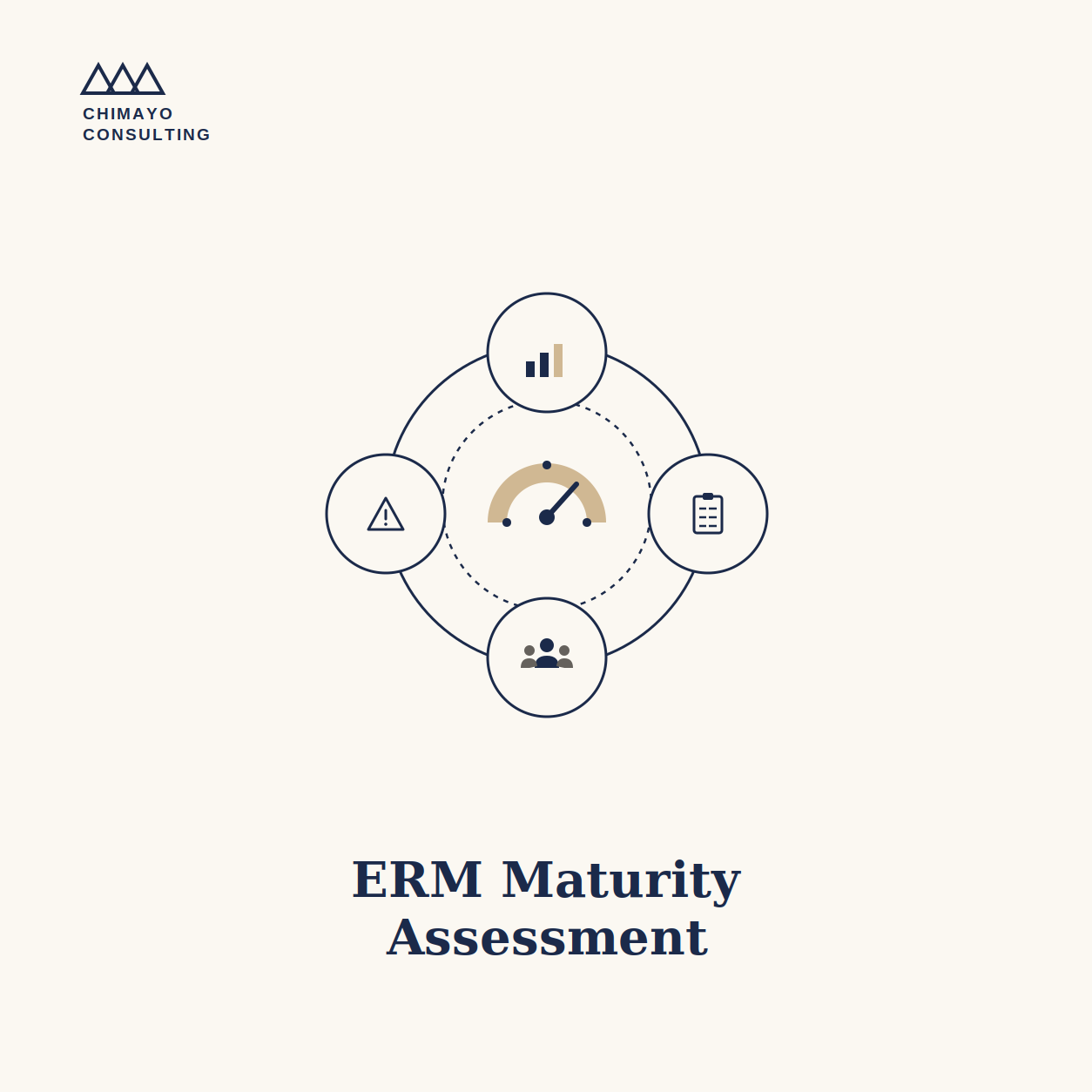 ERM Maturity Risk Assessment