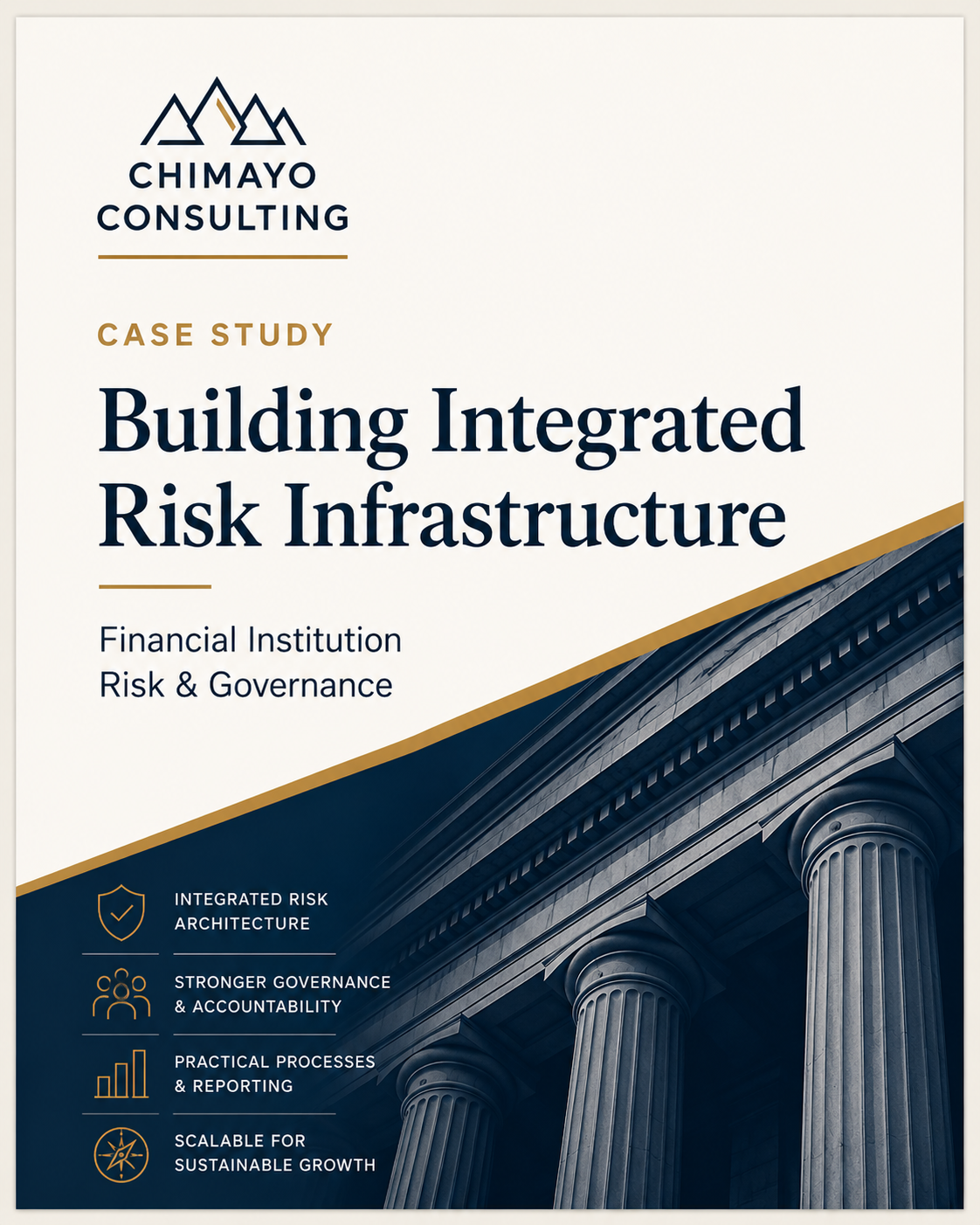 Case Study - Building Integrated Risk Infrastructure for an Emerging Financial Institution