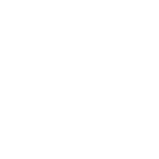 Construction hard hat