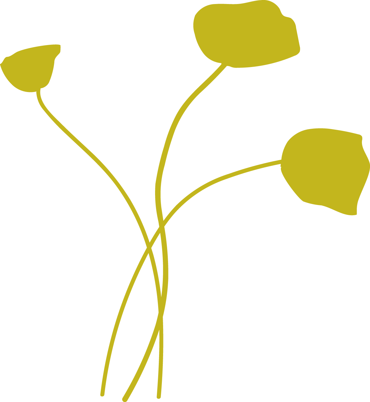 A minimalist illustration of a plant with three stems and three rounded leaves, all in a yellowish-green color.