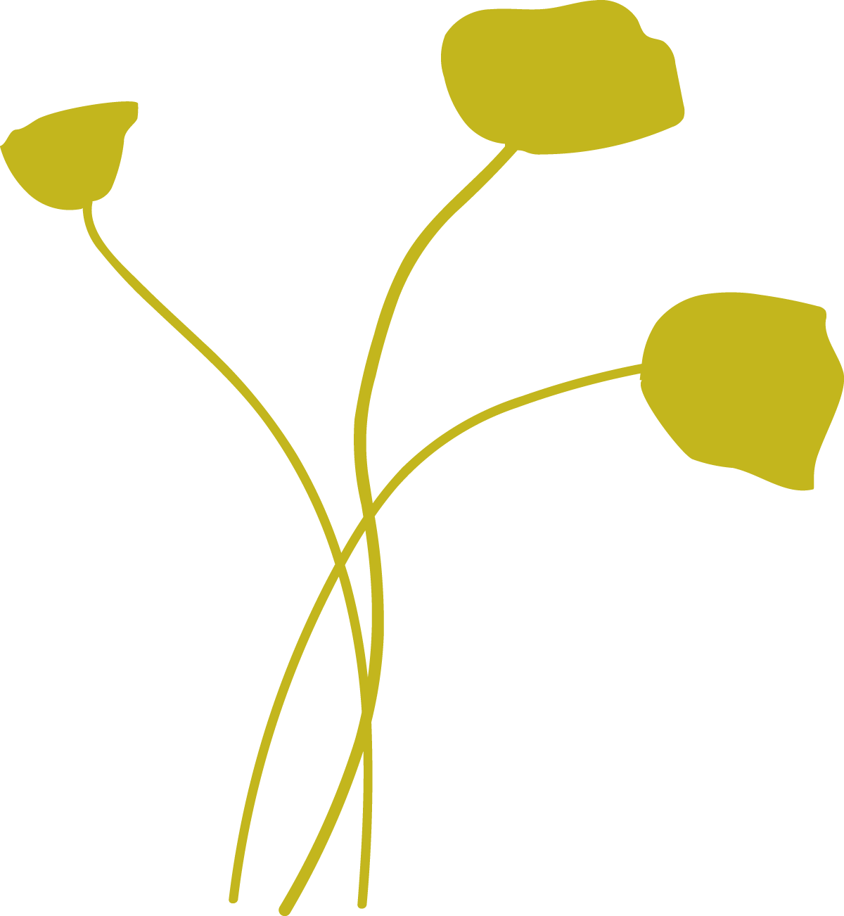 Line drawing of a plant with three leaves, depicted in olive green.
