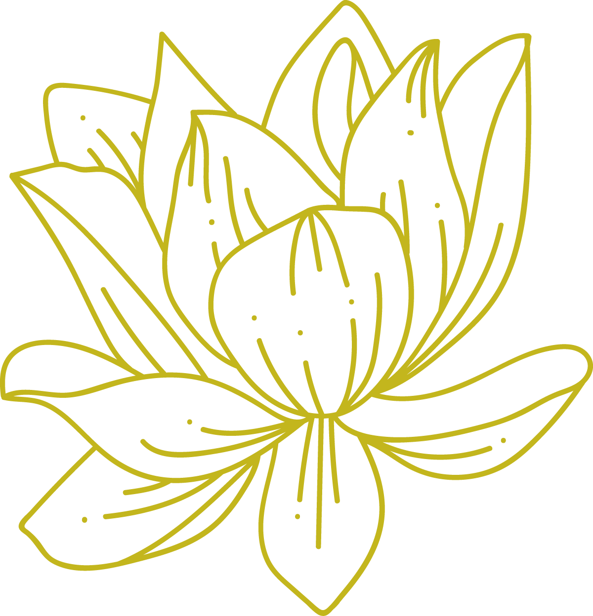 Outline drawing of a blooming flower with multiple petals and leaves.