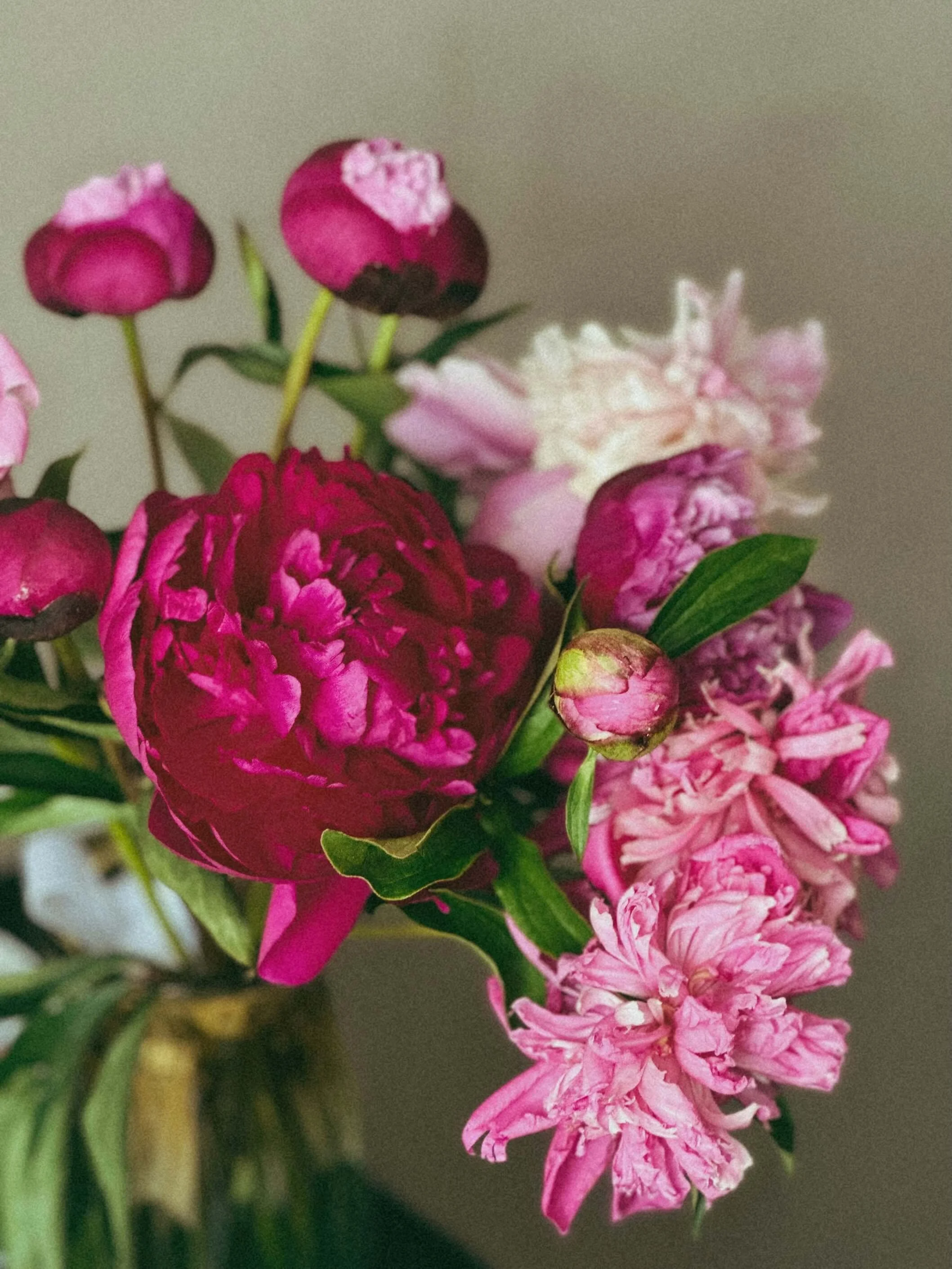 Close-up of a bouquet of pink, purple, and white flowers with green leaves against a neutral background.