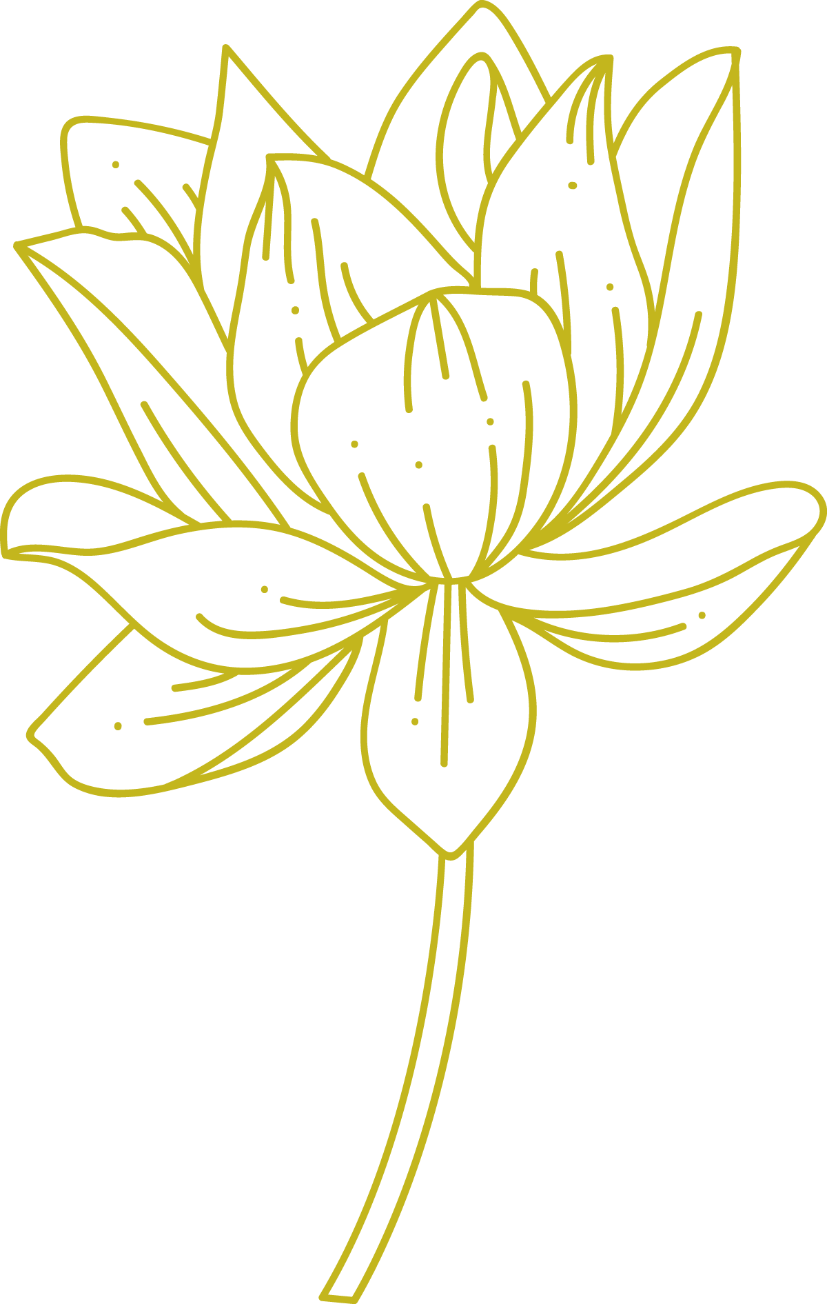 Outline of a flower with multiple leaves and a long stem, drawn in a minimalist style with yellow lines on a black background.