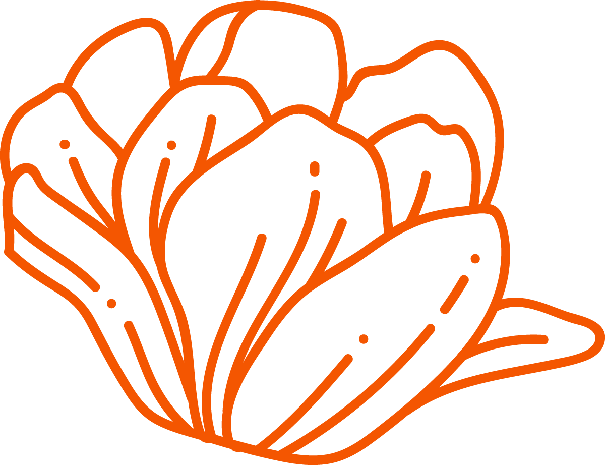 Outline drawing of a blooming flower in orange lines on black background.