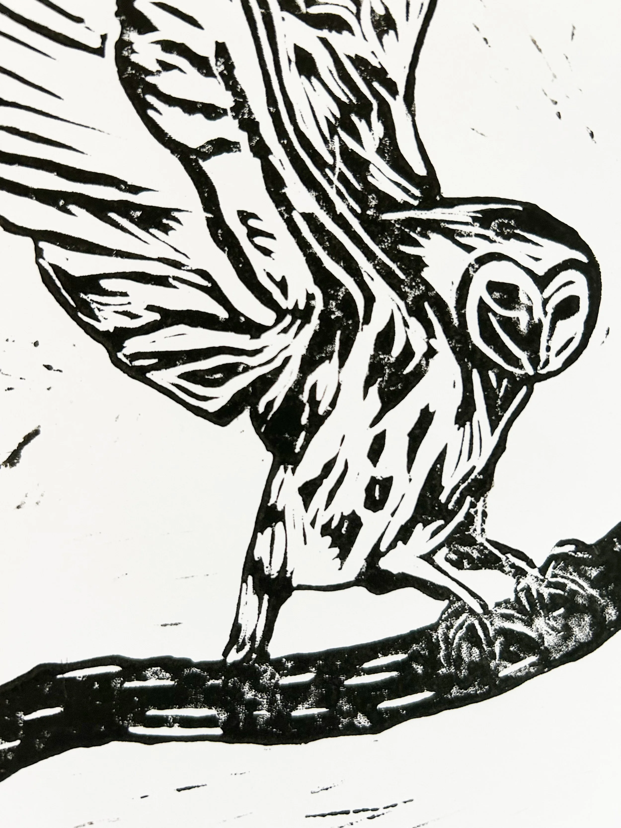 CLOSE UP OWL.jpg