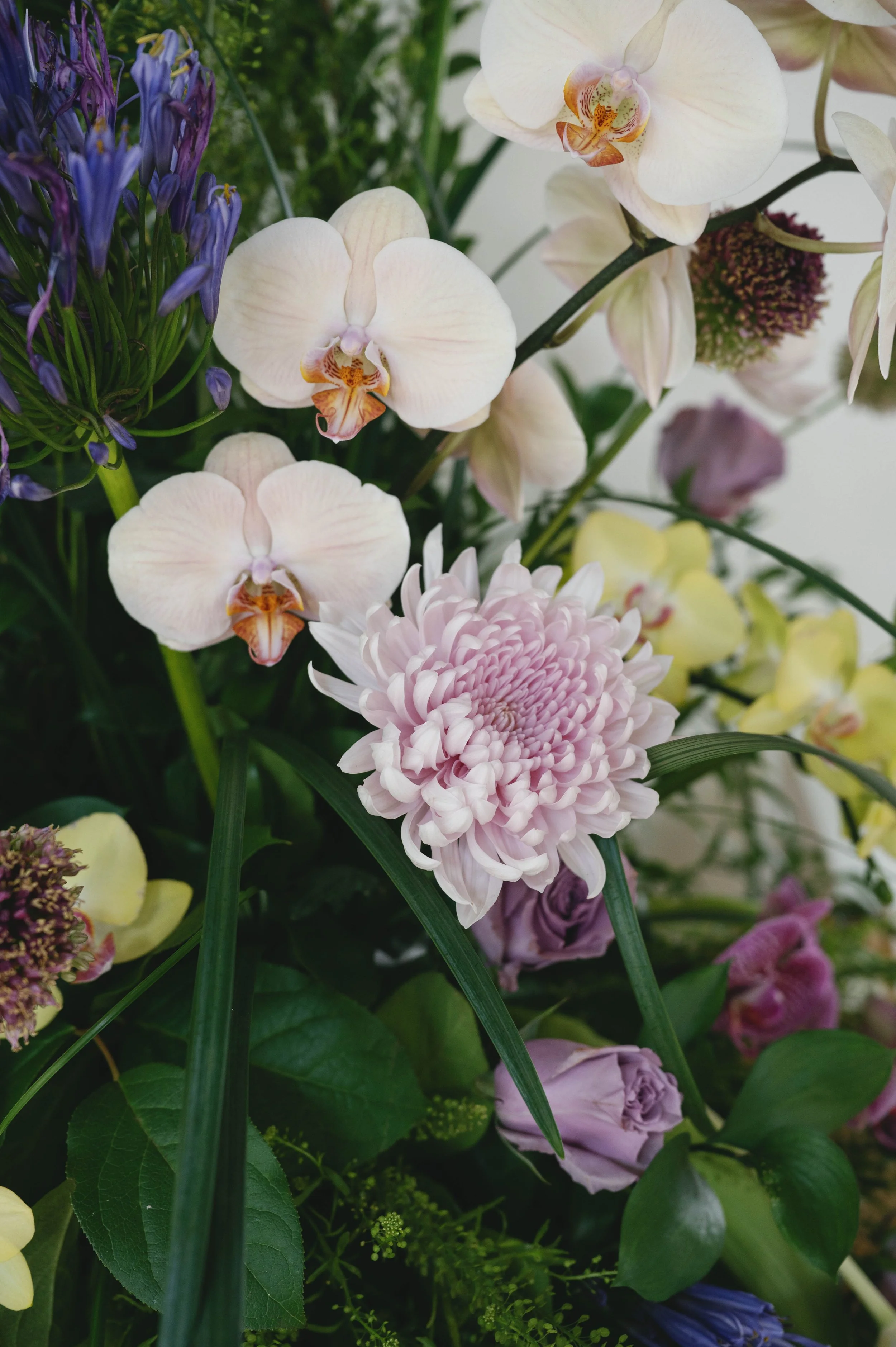 Close-up of a bouquet with white orchids, purple agapanthus, pink chrysanthemums, and other assorted flowers and greenery.