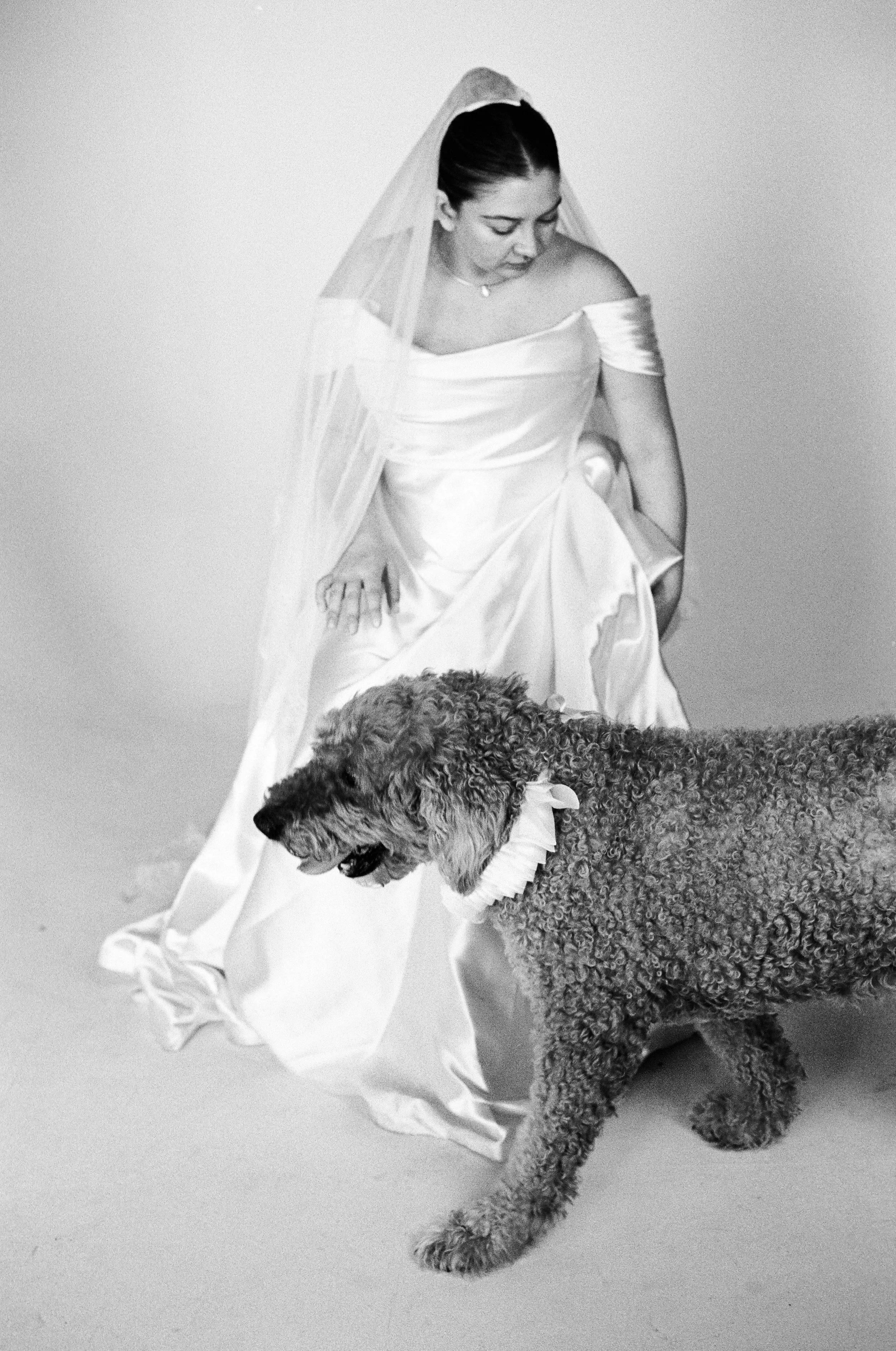 A woman in a wedding dress with a veil, kneeling down and looking at a large, curly-haired dog with a ribbon around its neck, on a plain background in black and white.
