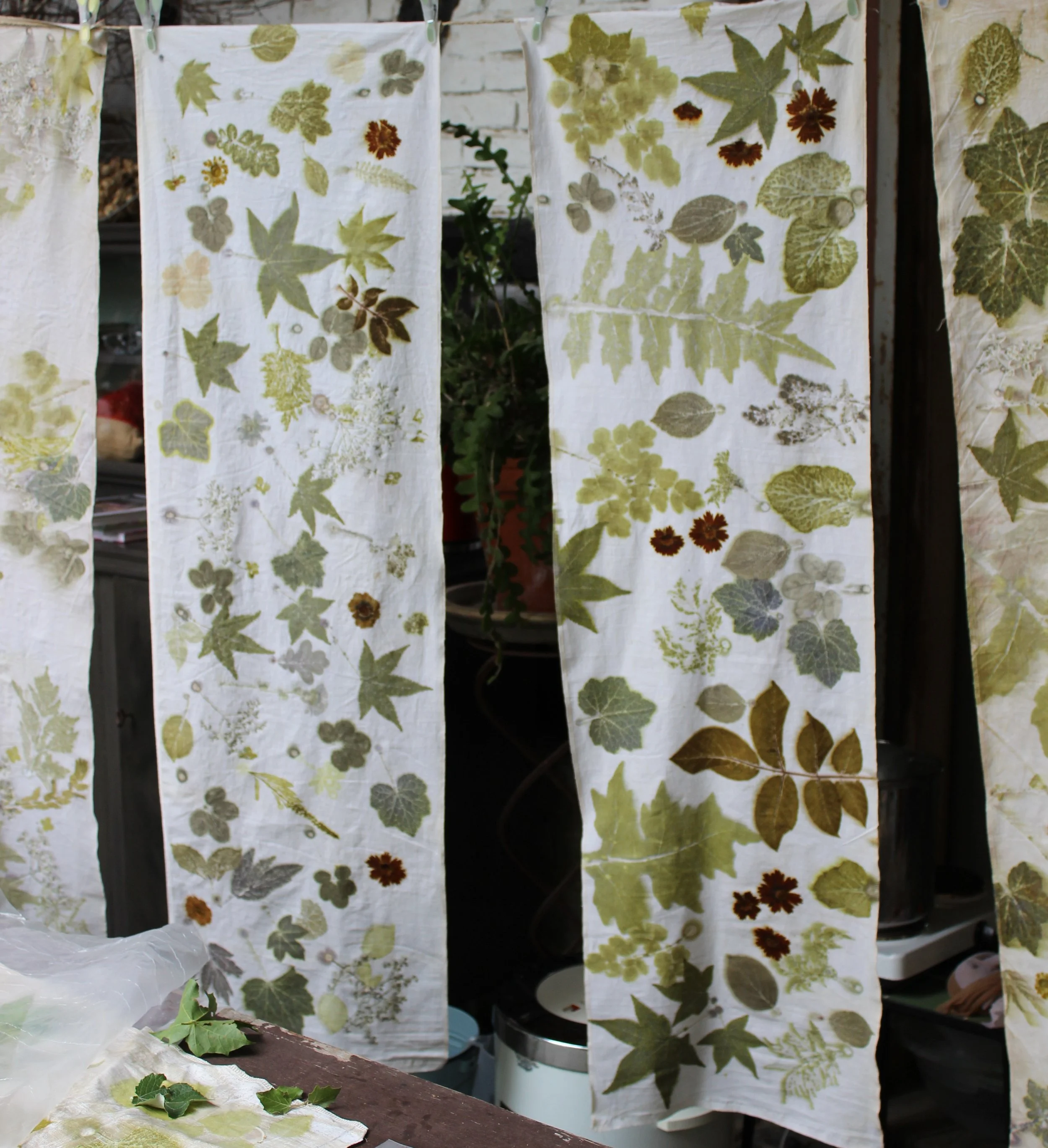 Ecoprinting Intensivseminar Ecoprinting Kurs