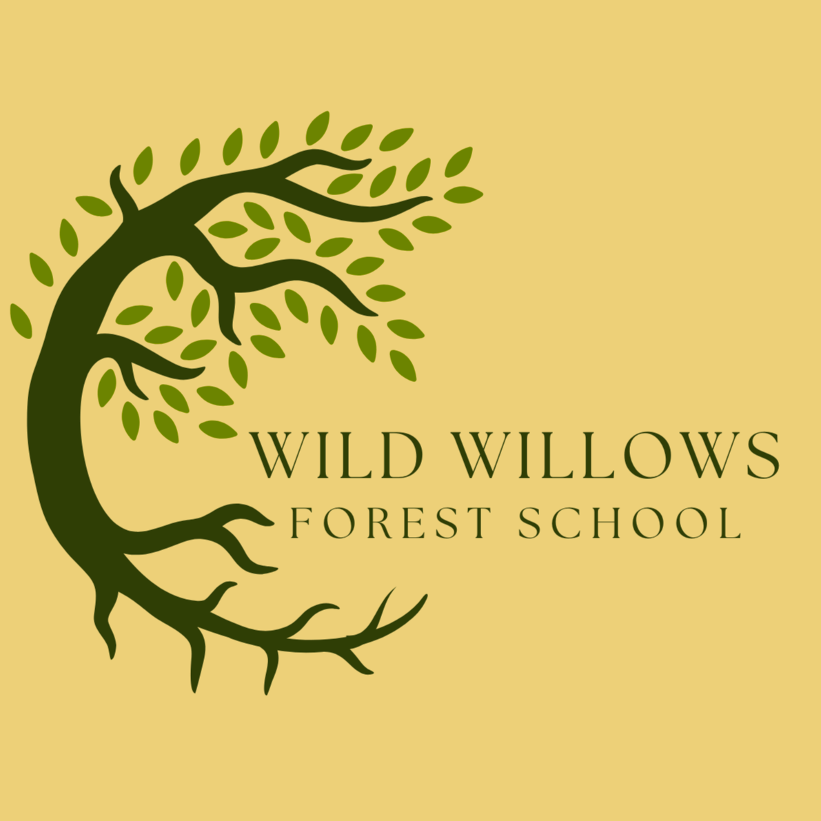 Wild Willows 