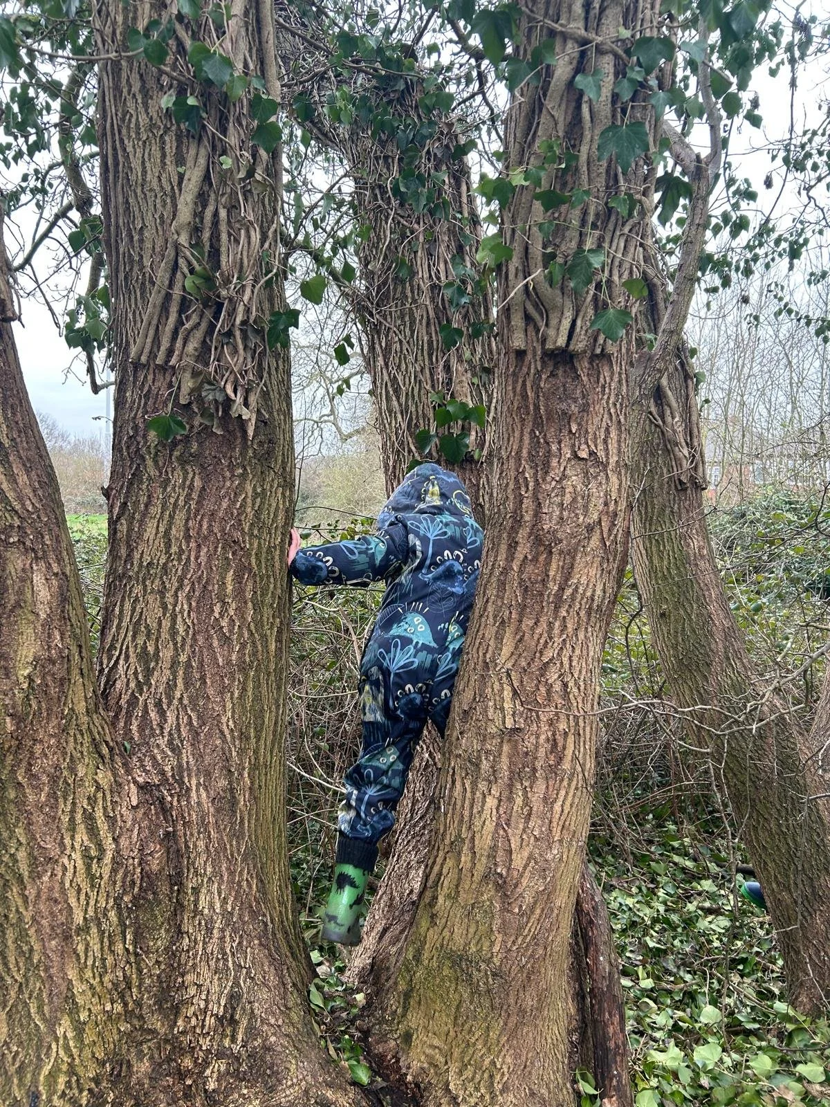 PAYG Friday 9th October 2026 Forest school family session