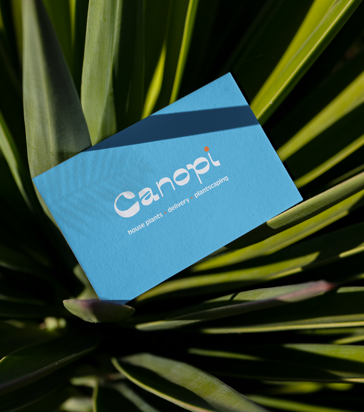Biz-Card-1.png