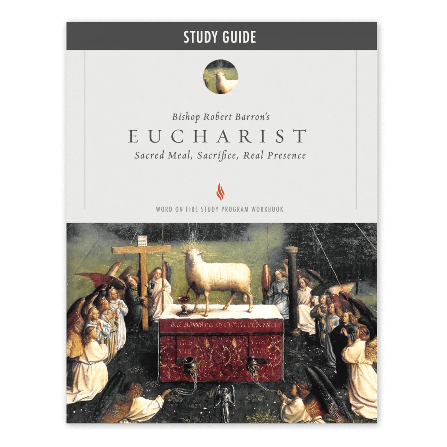 Study guide cover titled "Bishop Robert Barron's Eucharist: Sacred Meal, Sacrifice, Real Presence" with religious artwork depicting the Last Supper and the Eucharist.