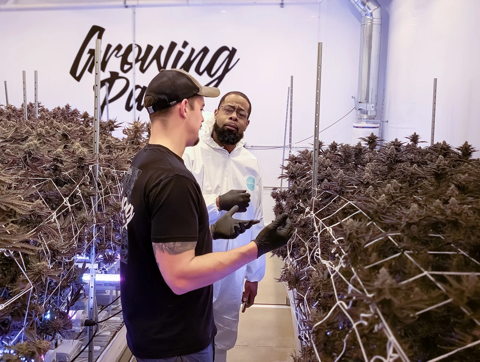 Michigan-Cannabis-Grow-Tour-Photographer-Julie-Mikos-Growing-Pains-Brand-45.jpg