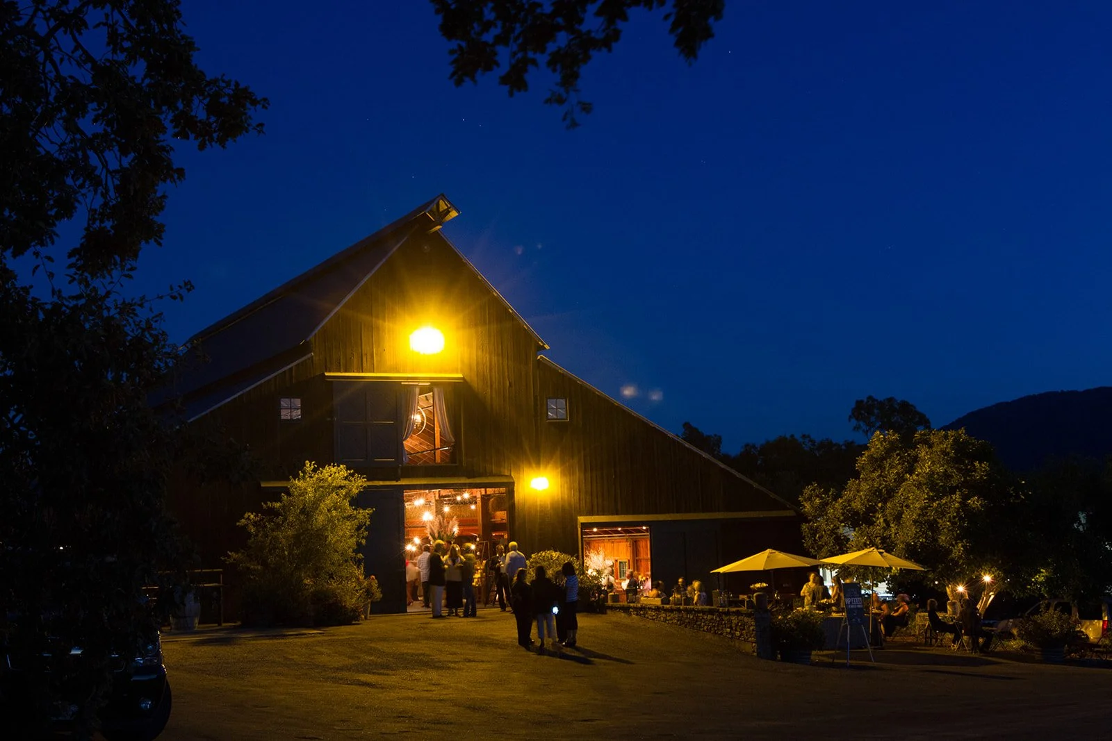 Wine-Industry-Event-Editorial-Lifestyle-Photographer-Julie-Mikos-Southwest-Michigan-127.jpg