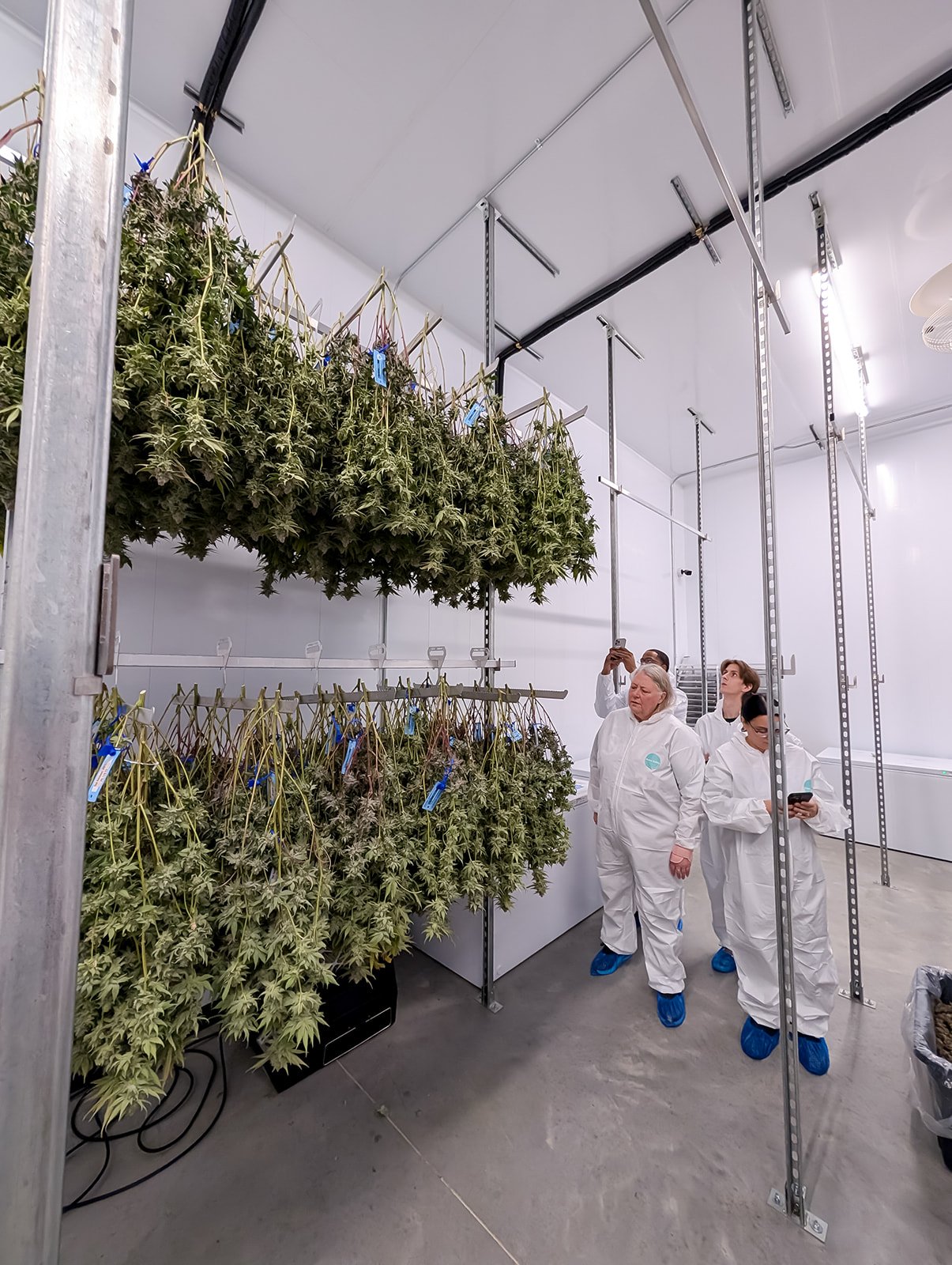 Michigan-Cannabis-Grow-Tour-Photographer-Julie-Mikos-Growing-Pains-Brand-9.jpg