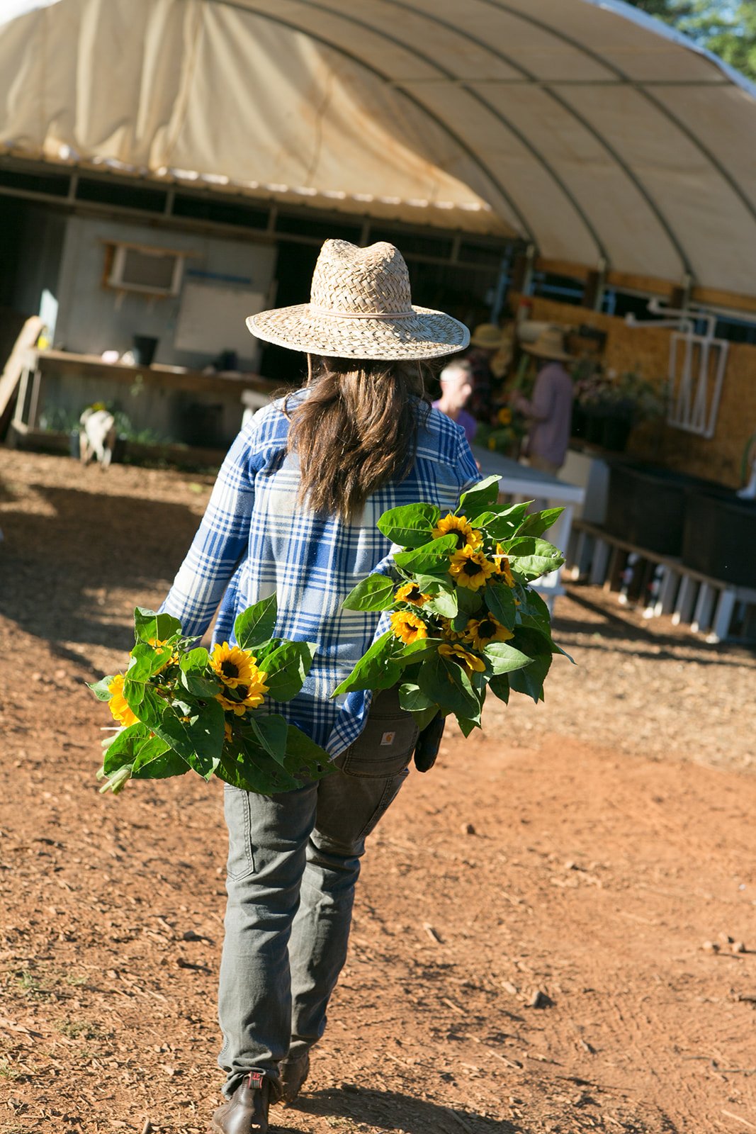 Lifestyle-Brand-Editorial-Farm-Photography-Julie-Mikos-Midwest-West-Michigan-216.jpg