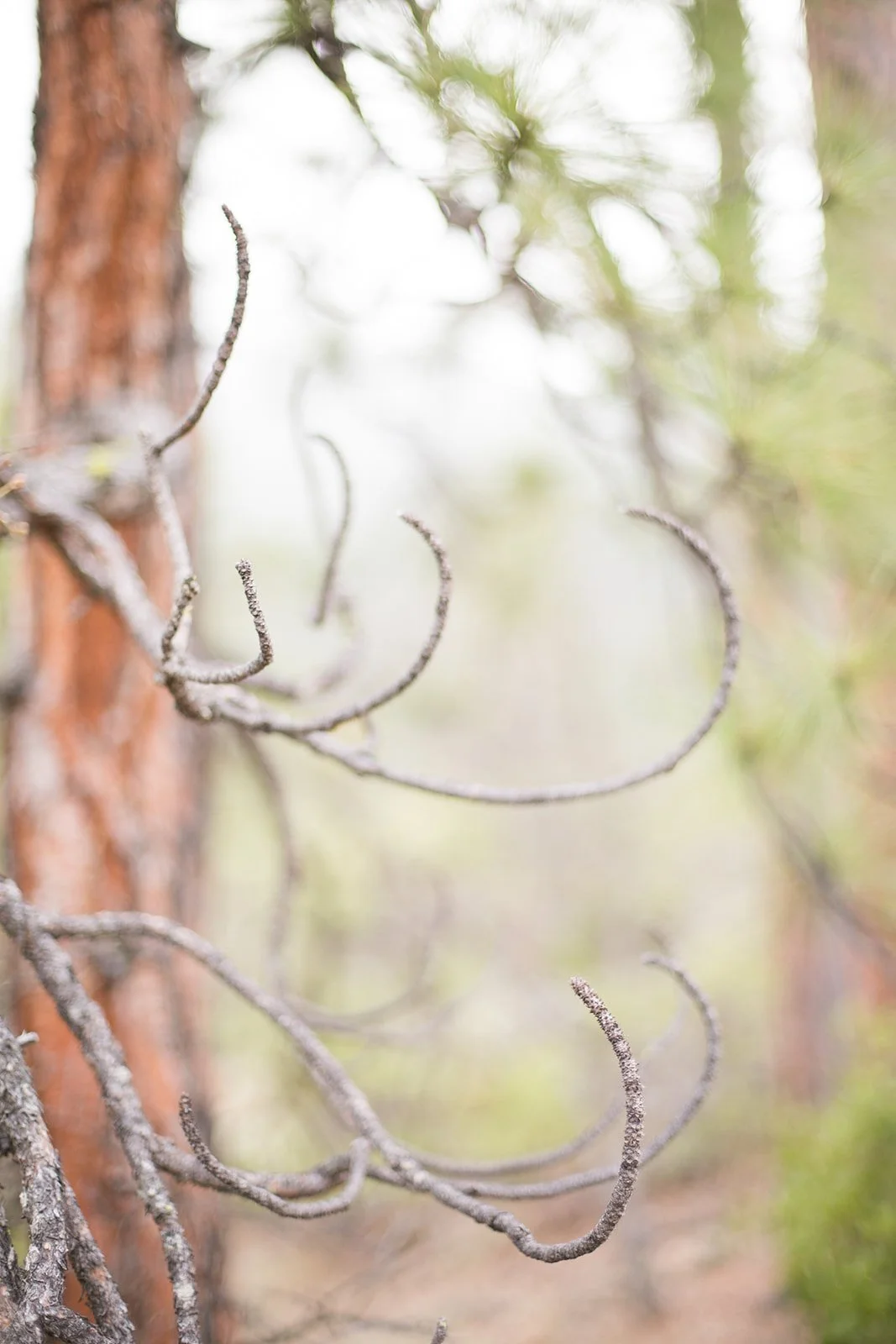 Lifestyle-Branding-Retreat-Photography-Julie-Mikos-Midwest-Michigan-106.jpg