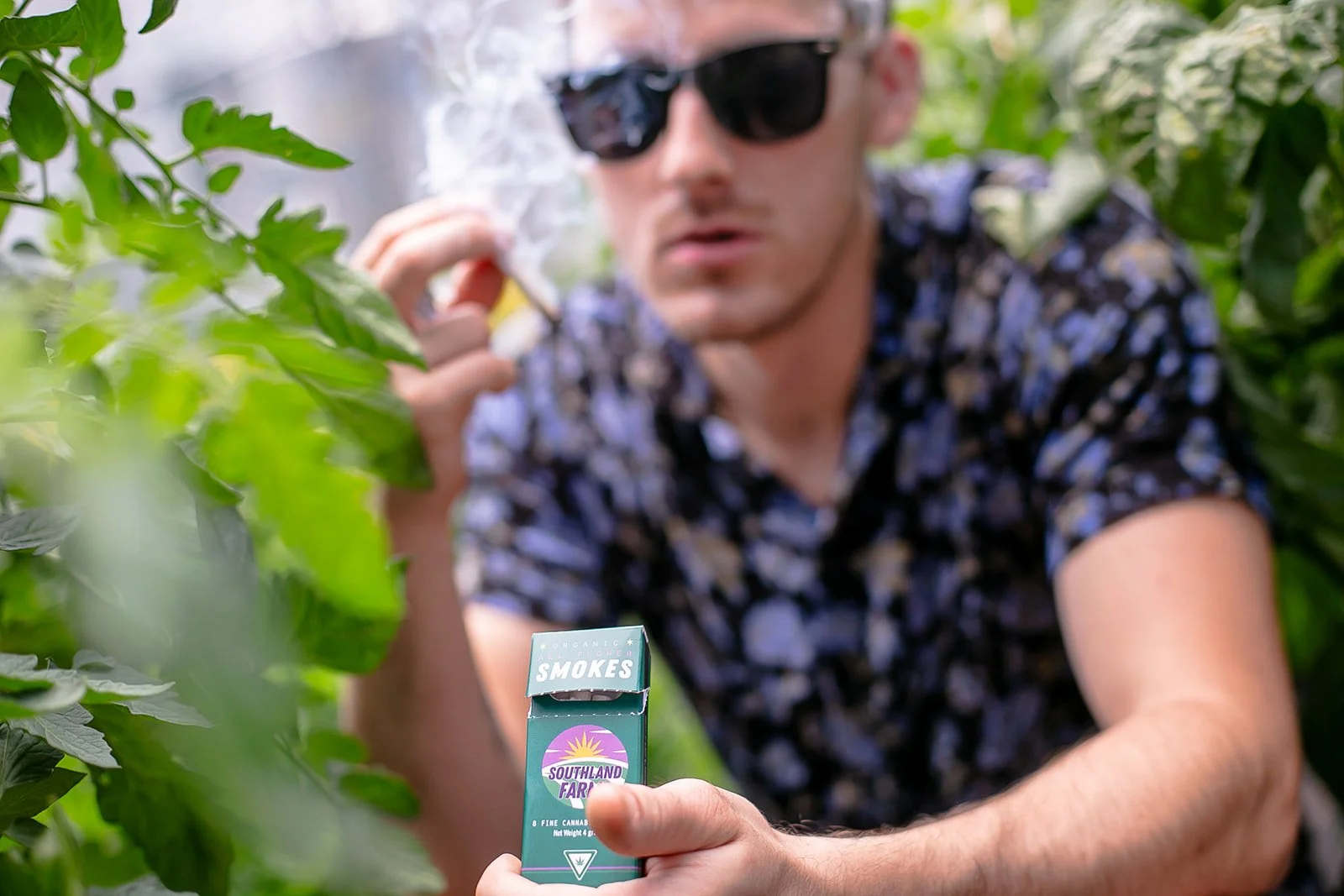 Michigan-Cannabis-Brand-Photographer-Julie-Mikos-Midwest-1.jpg