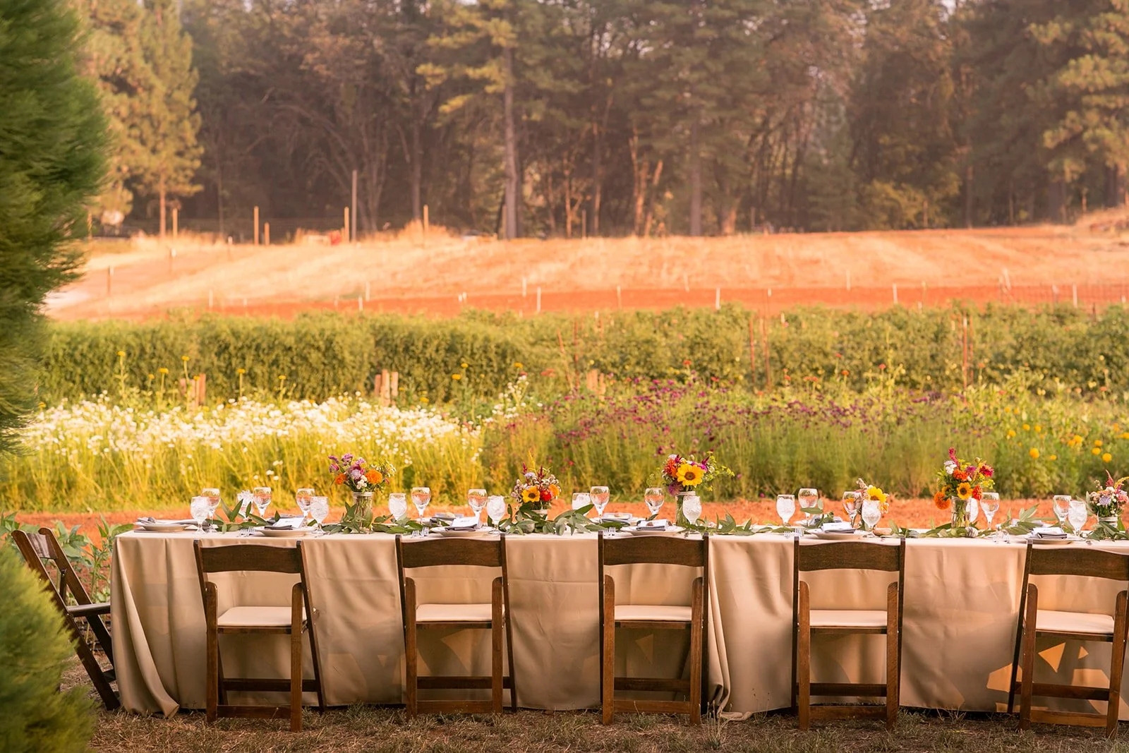 Lifestyle-Farm-to-Table-Event-Photography-Julie-Mikos-Midwest-West-Michigan-228_websize.jpg