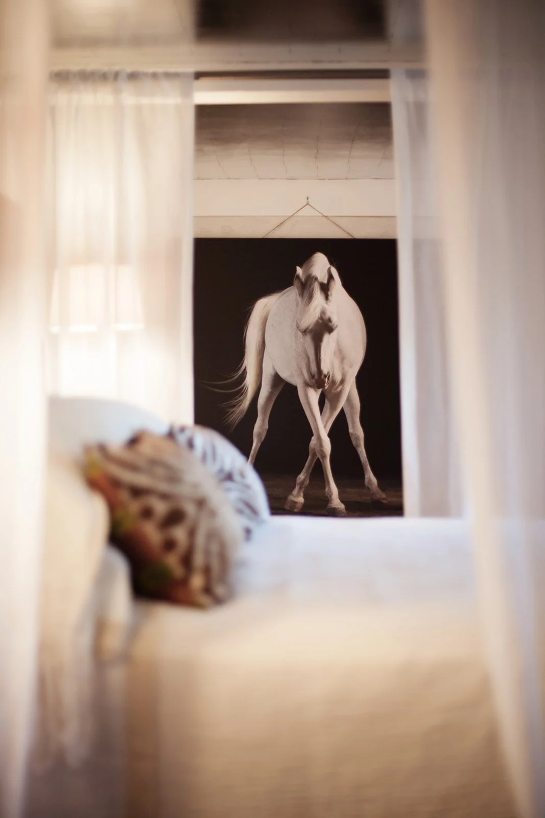Branding-Interior-Design-Lifestyle-Photography-Julie-Mikos-Midwest-Michigan-109_websize.jpg