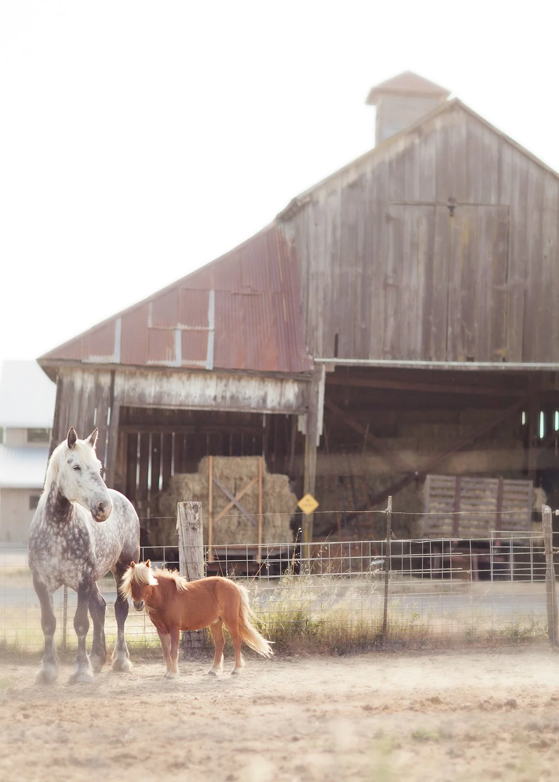 Midwest-lifestyle-editorial-Photographer-Julie-Mikos-12.jpg