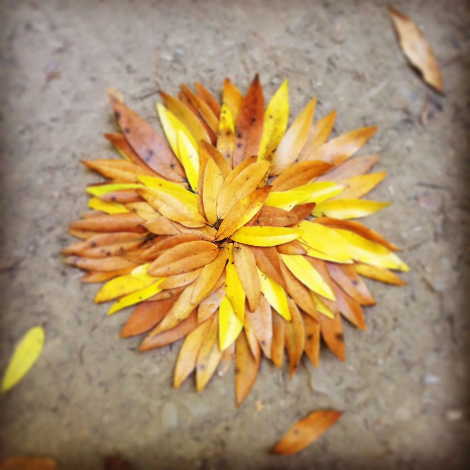 The-Healing_Farm_Wellness_Inner_Fulfillment_Retreats-Julie-Mikos-27.jpg