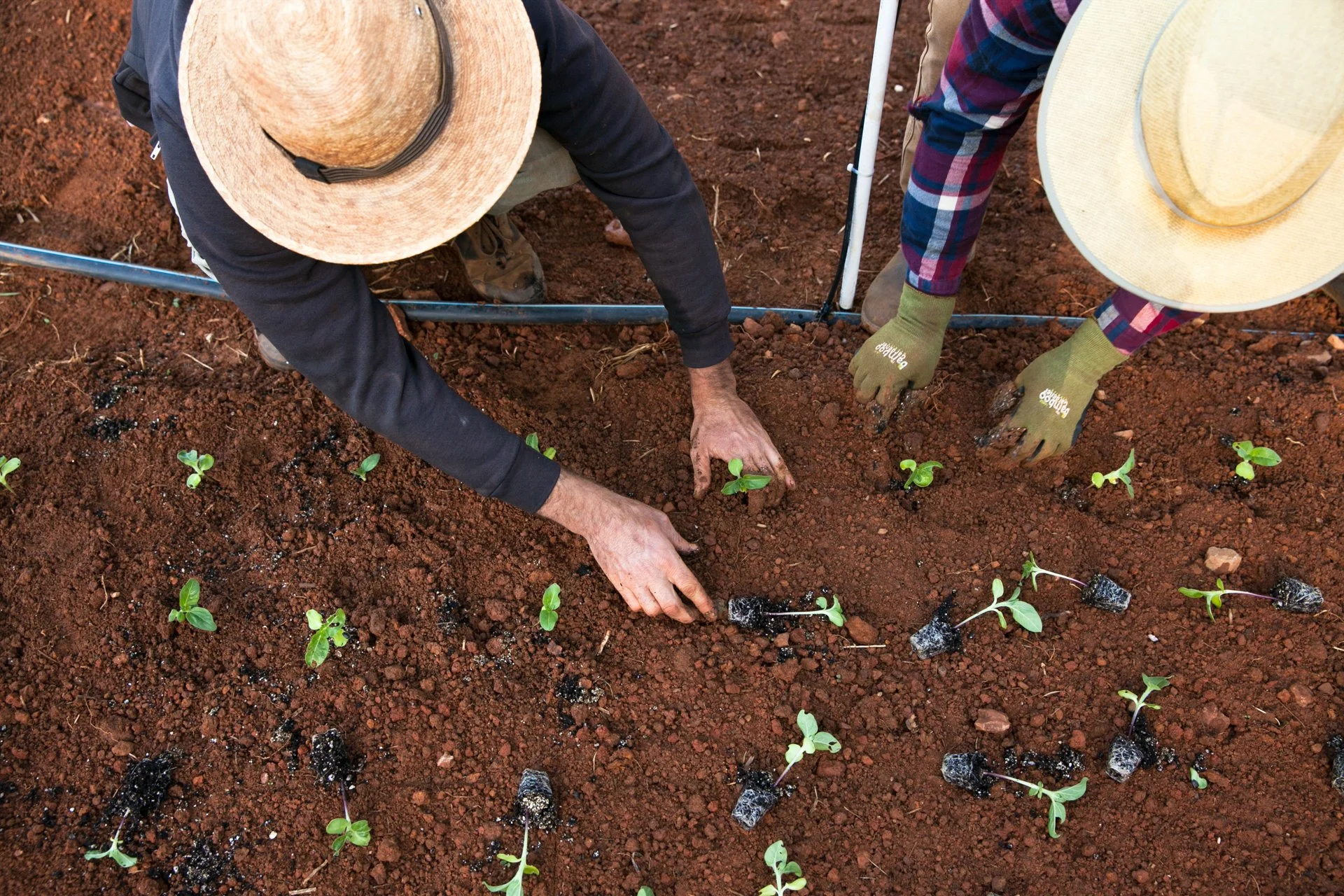The-Healing_Farm_Wellness_Inner_Fulfillment_Retreats-Julie-Mikos-35.jpg