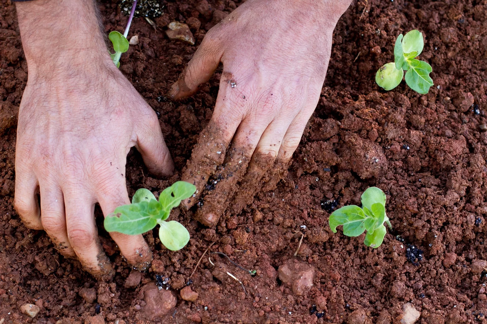 The-Healing_Farm_Wellness_Inner_Fulfillment_Retreats-Julie-Mikos-36.jpg